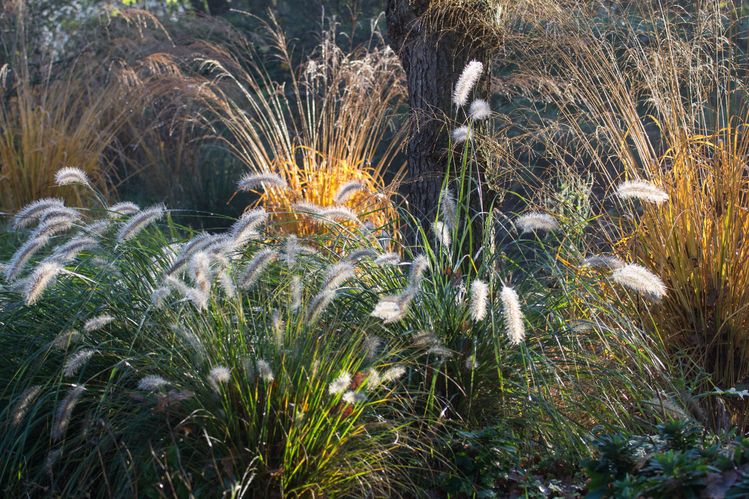 Houzz Нидерланды: Якобстуин — очаровательный сад Яапа де Вриса