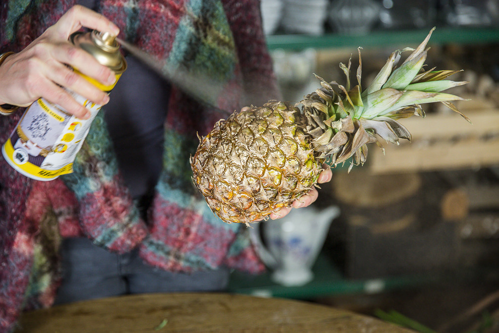 Своими руками: Делаем вазу из ананаса