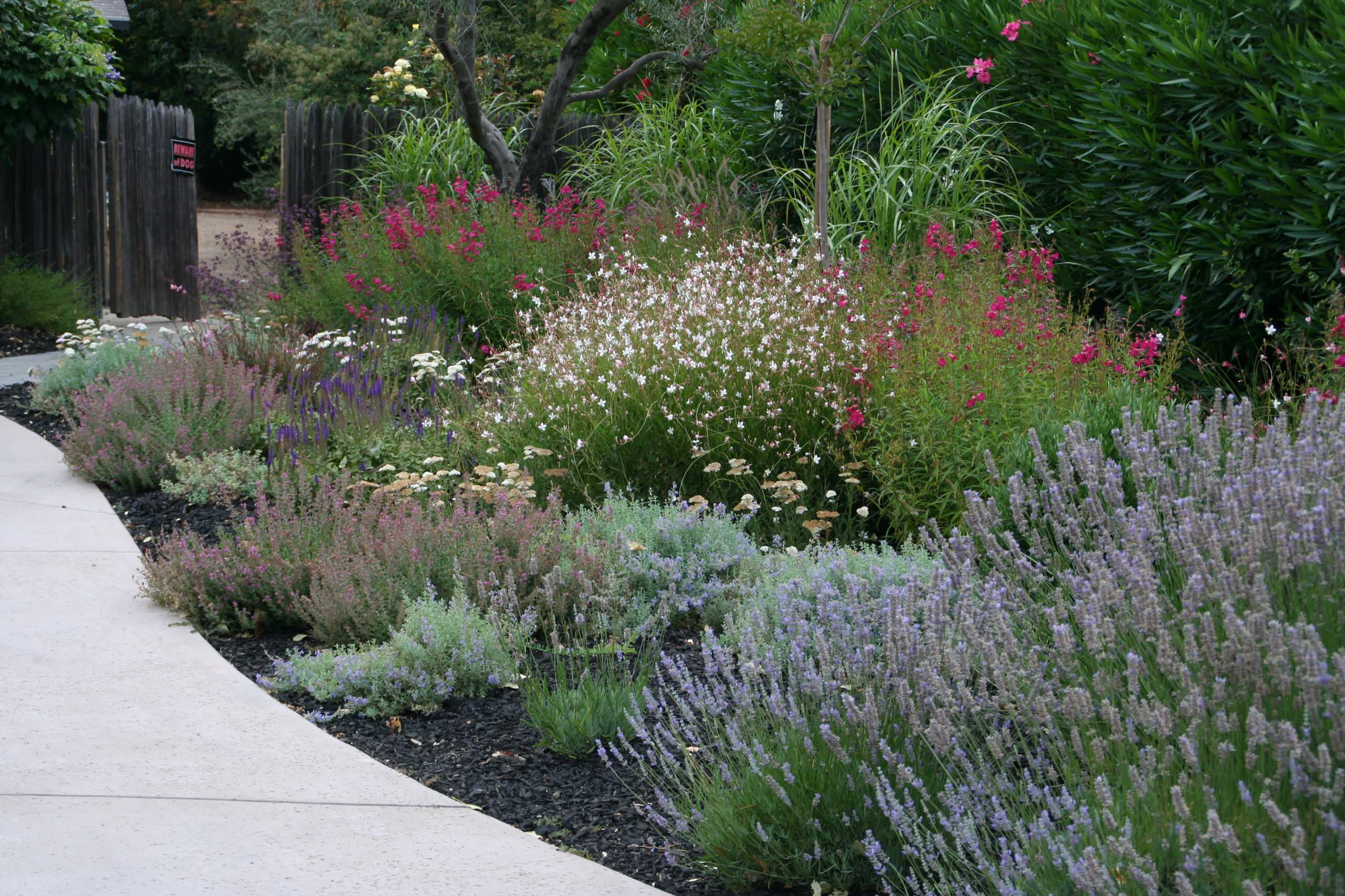 Садоводство, ставшее искусством, от импрессиониста Гюстава Кайботта