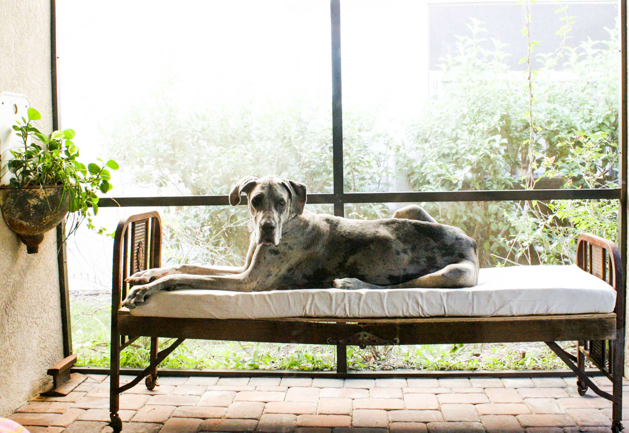 Houzz США: Дом в Тампе, наполненный хенд-мейдом