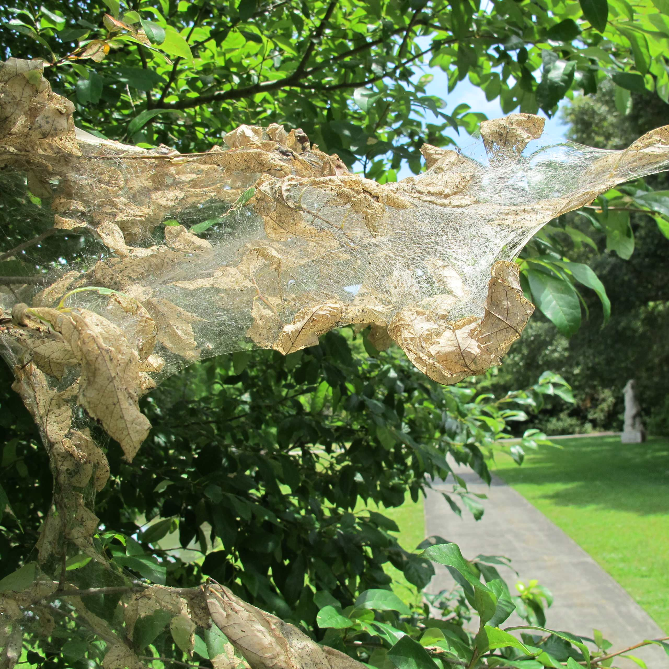 Календарь на октябрь: Садовые работы «золотой осенью»