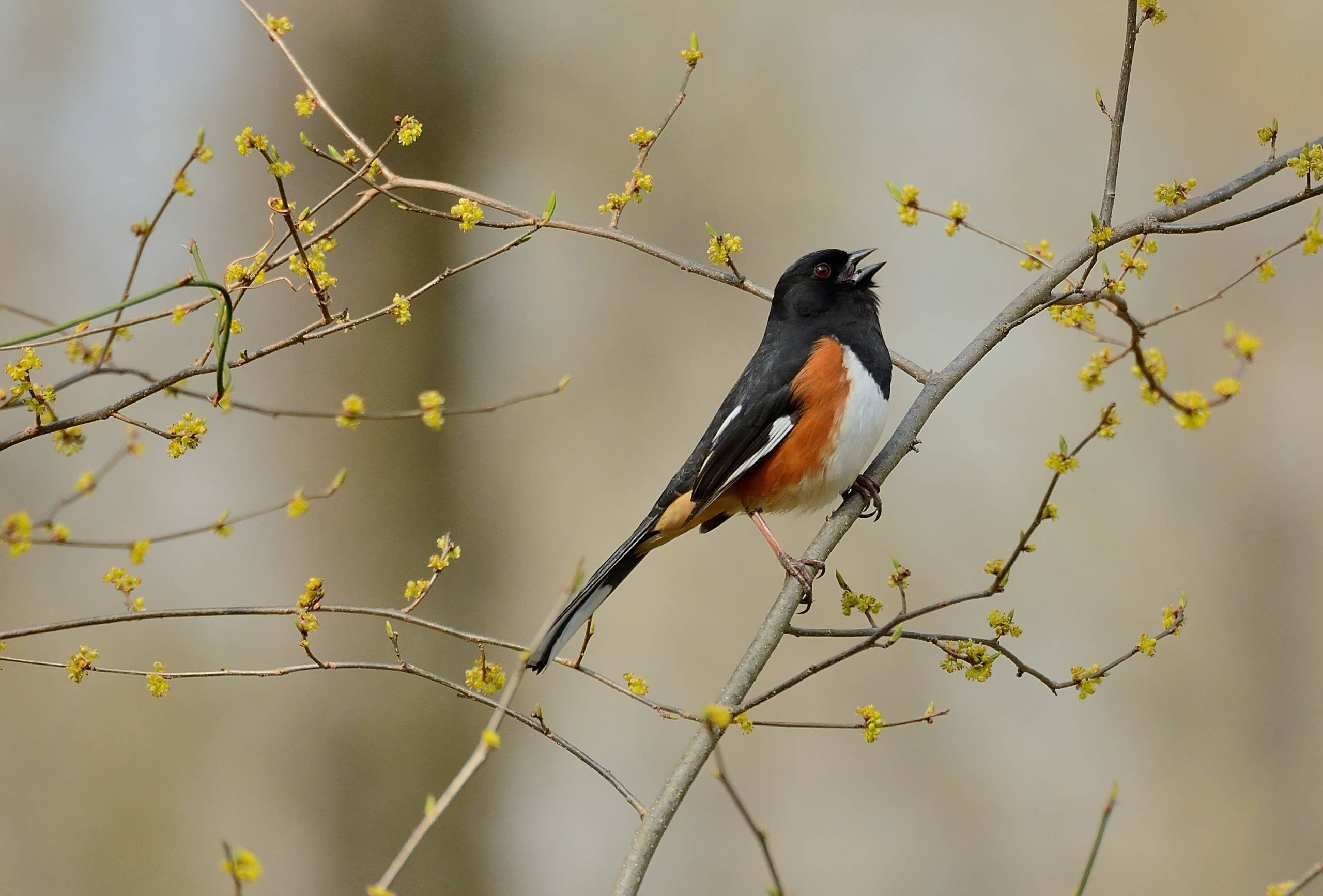 Календарь на октябрь: Садовые работы «золотой осенью»
