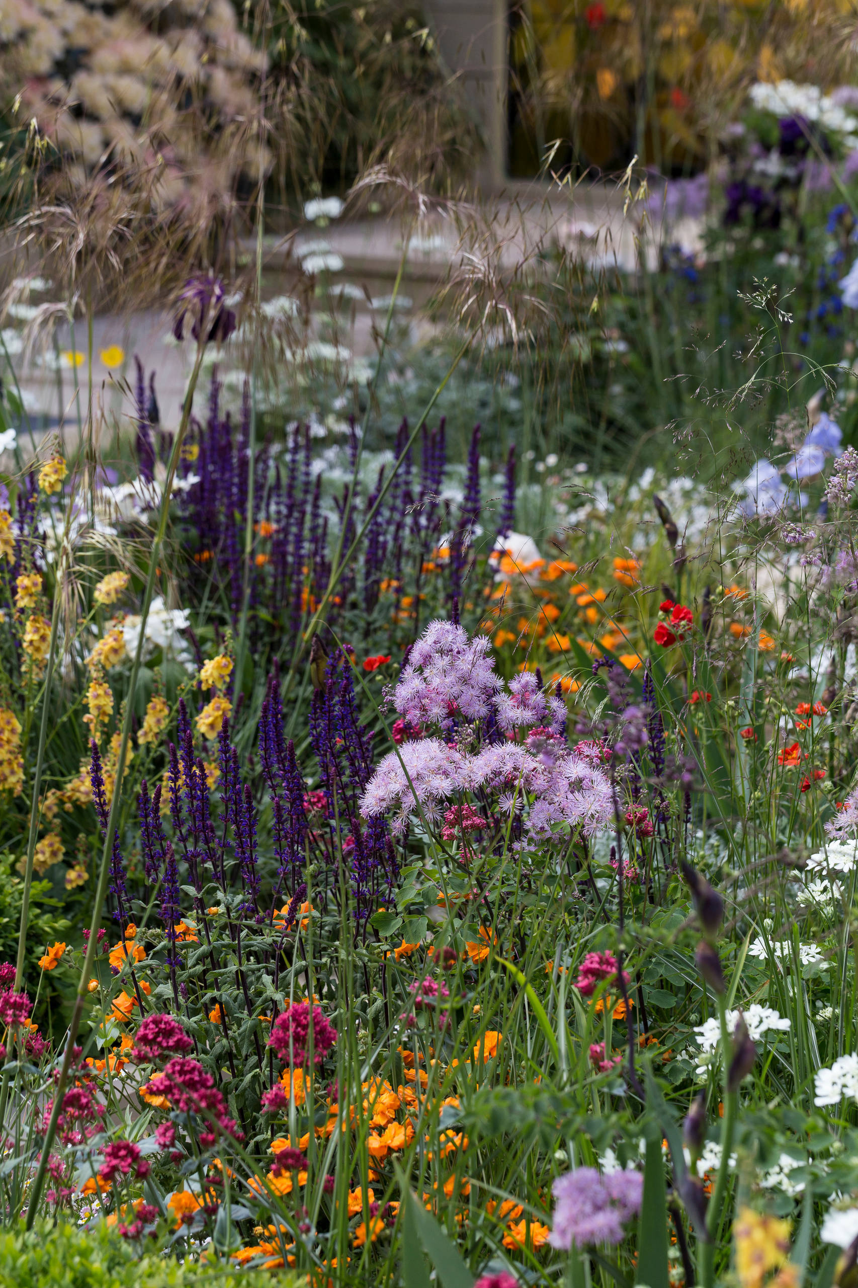 Уроки Chelsea Flower Show: Модные цветы 2016 года