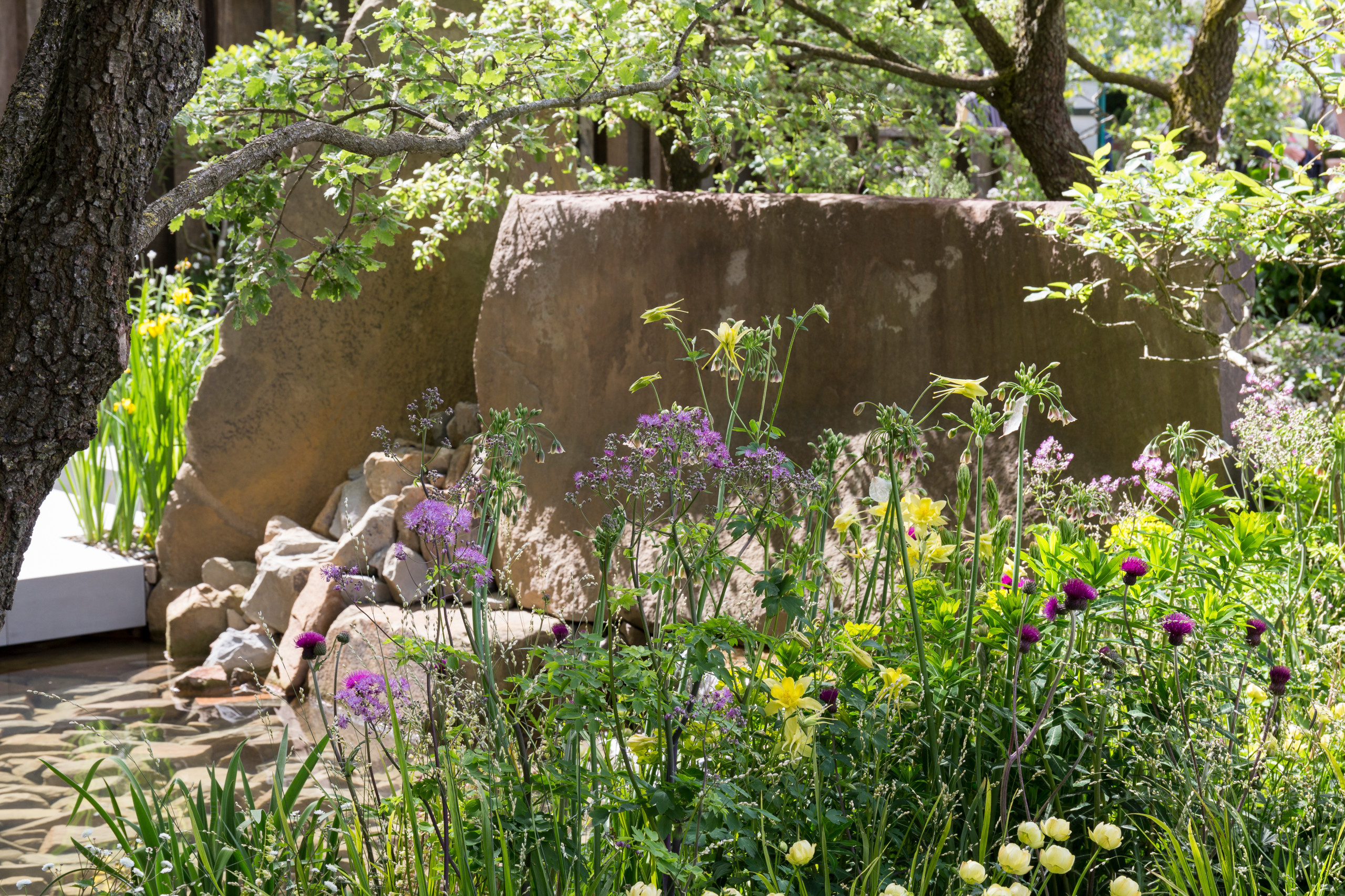 Уроки Chelsea Flower Show: Модные цветы 2016 года