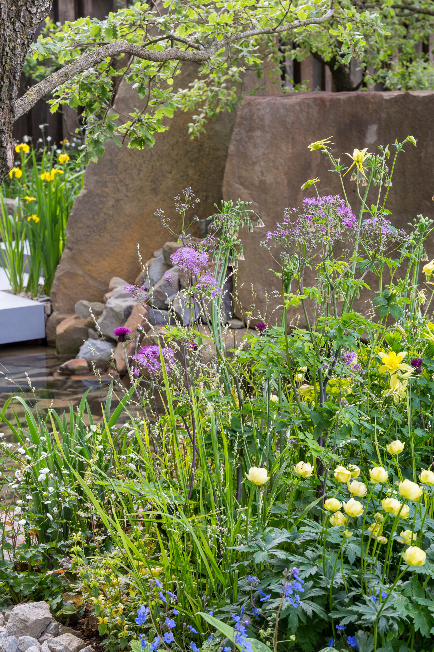 Уроки Chelsea Flower Show: Модные цветы 2016 года