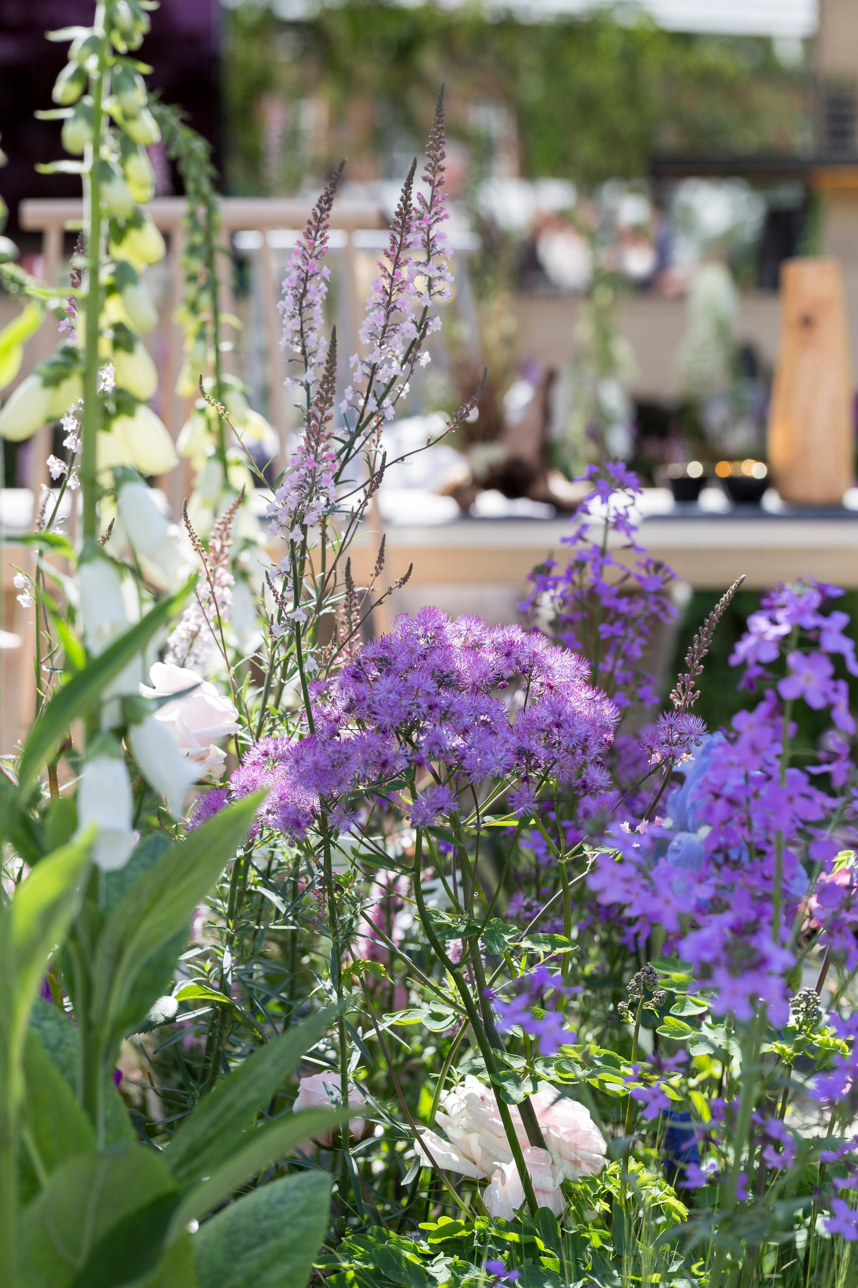 Уроки Chelsea Flower Show: Модные цветы 2016 года