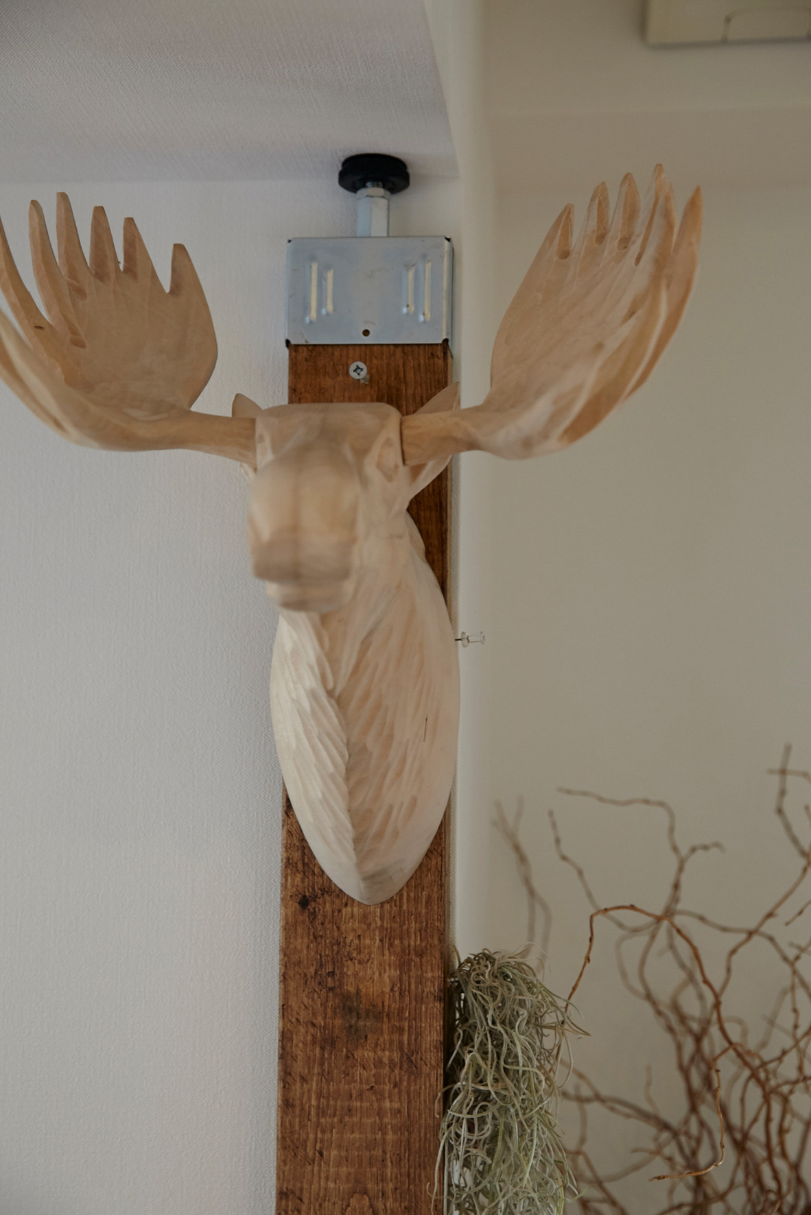 Мир дизайна: 10 съемных квартир с яркими идеями декора