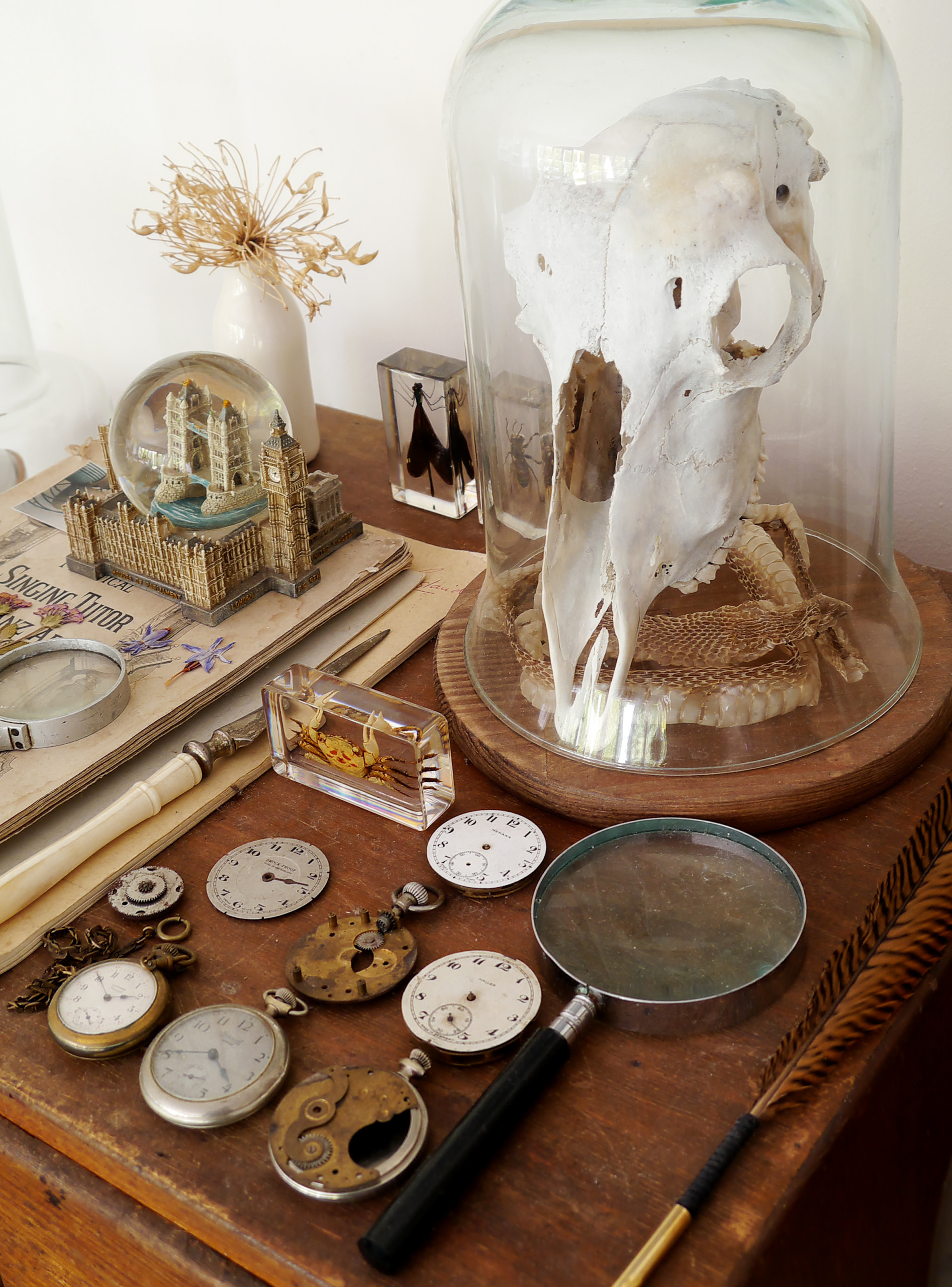 Houzz Австралия: Викторианский коттедж для винтажной коллекции