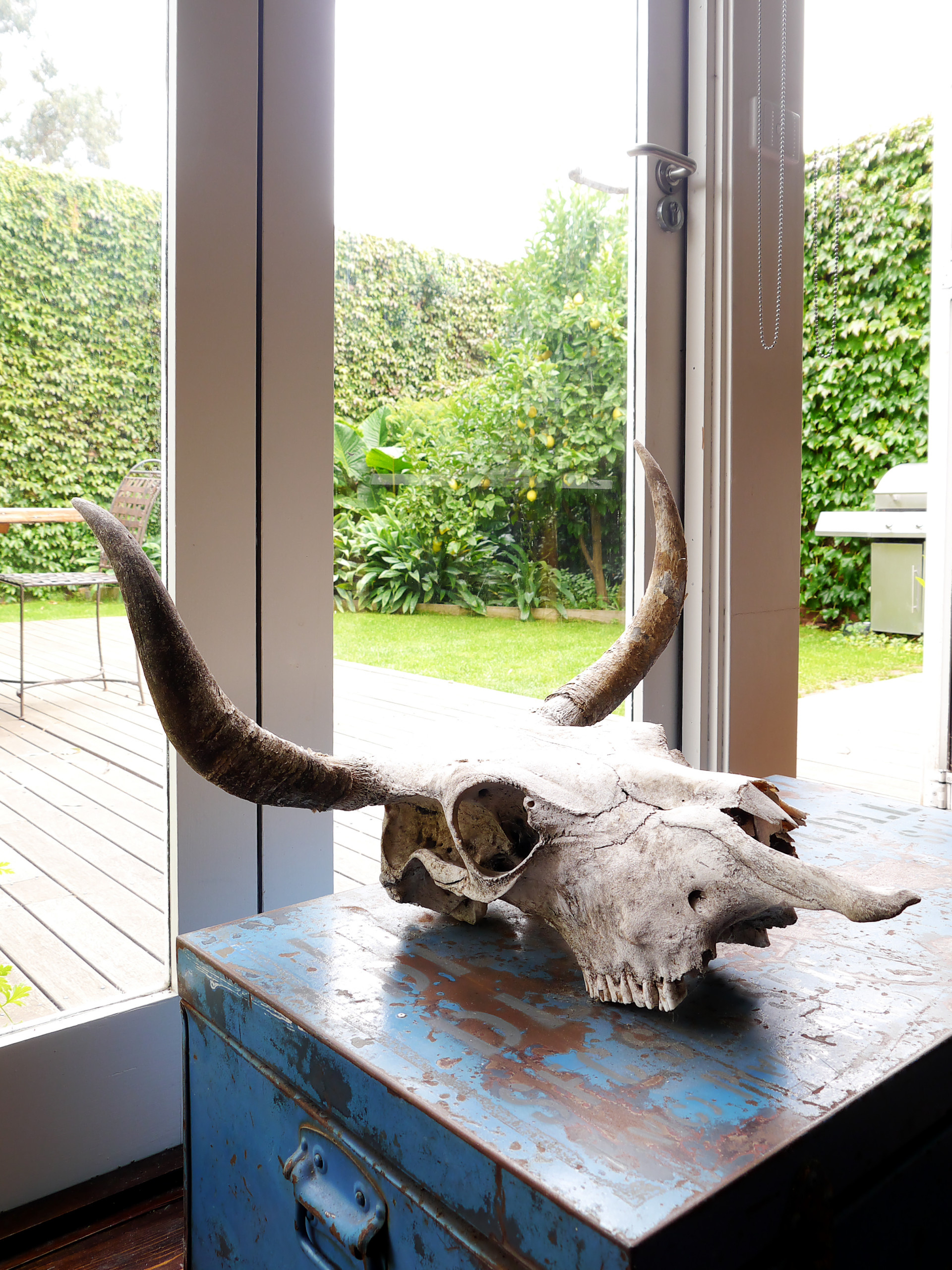 Houzz Австралия: Викторианский коттедж для винтажной коллекции