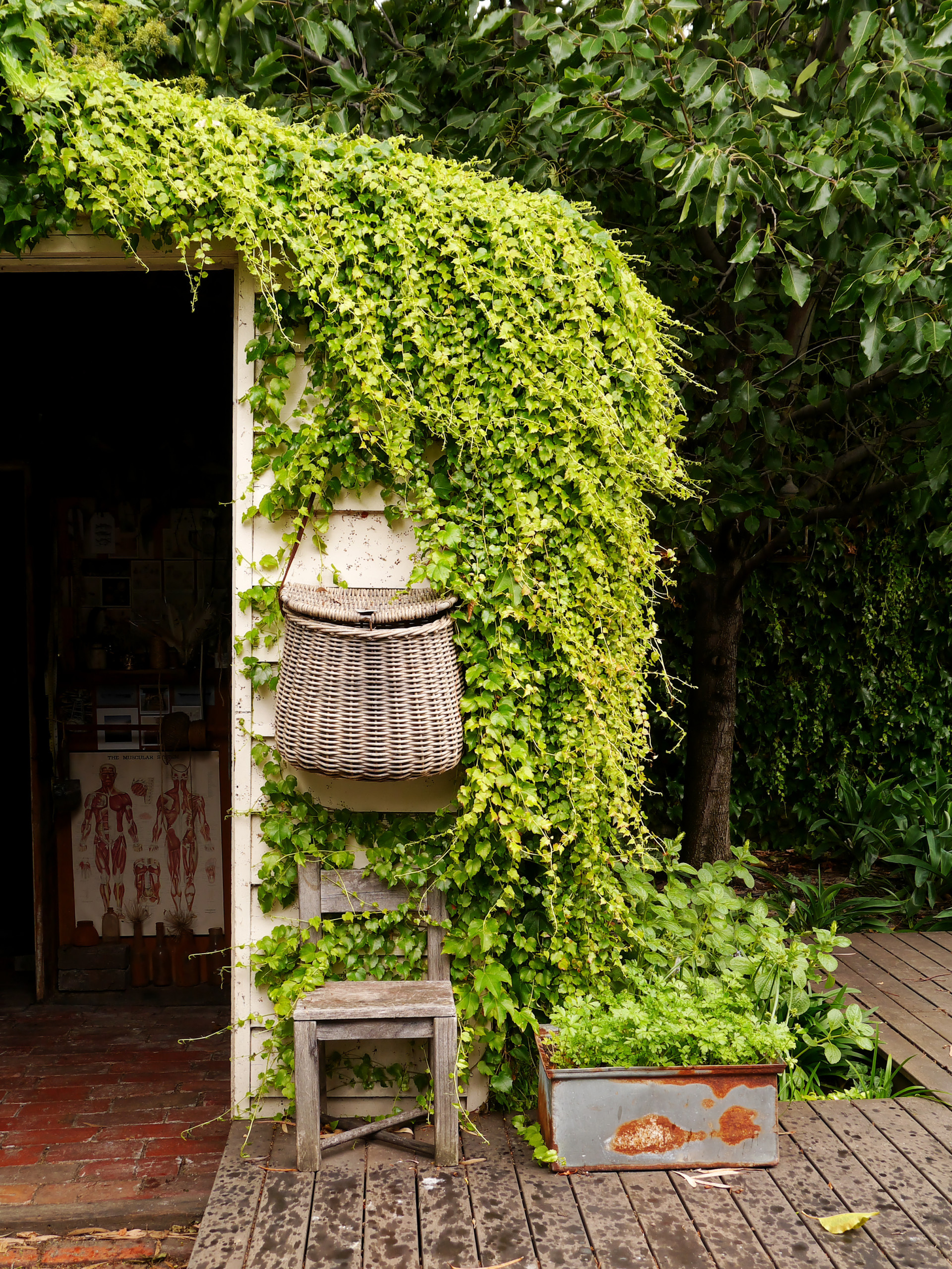 Houzz Австралия: Викторианский коттедж для винтажной коллекции