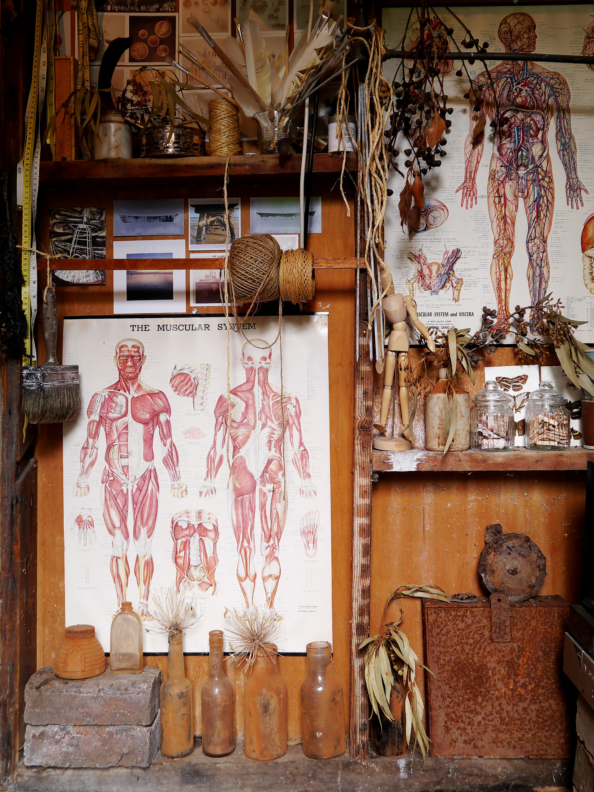 Houzz Австралия: Викторианский коттедж для винтажной коллекции