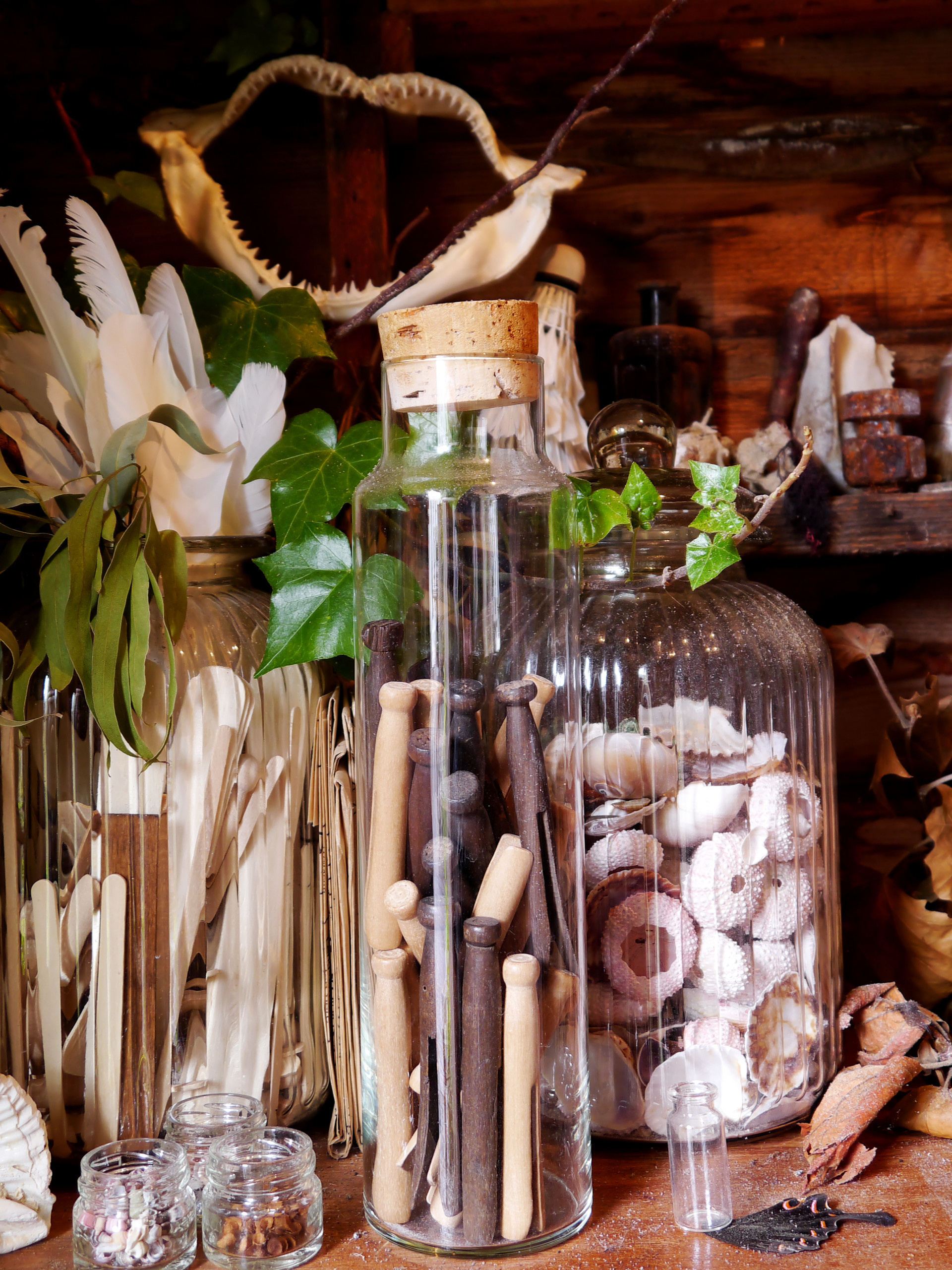 Houzz Австралия: Викторианский коттедж для винтажной коллекции