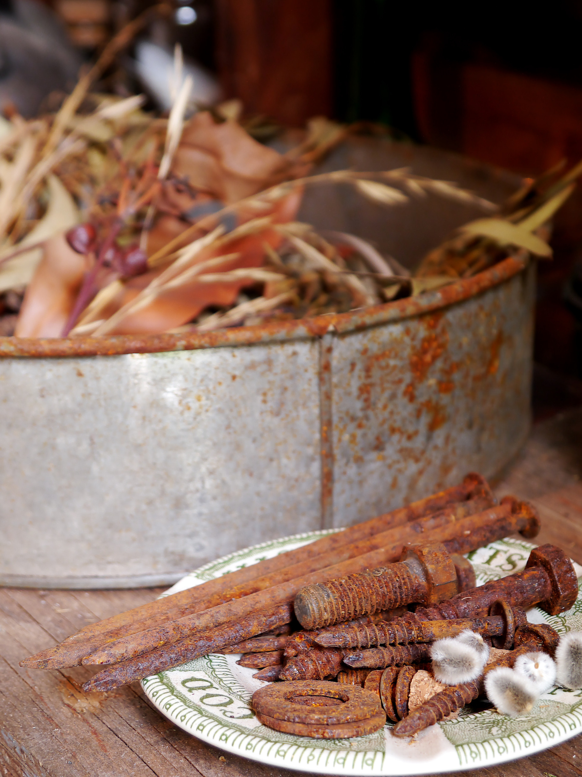 Houzz Австралия: Викторианский коттедж для винтажной коллекции