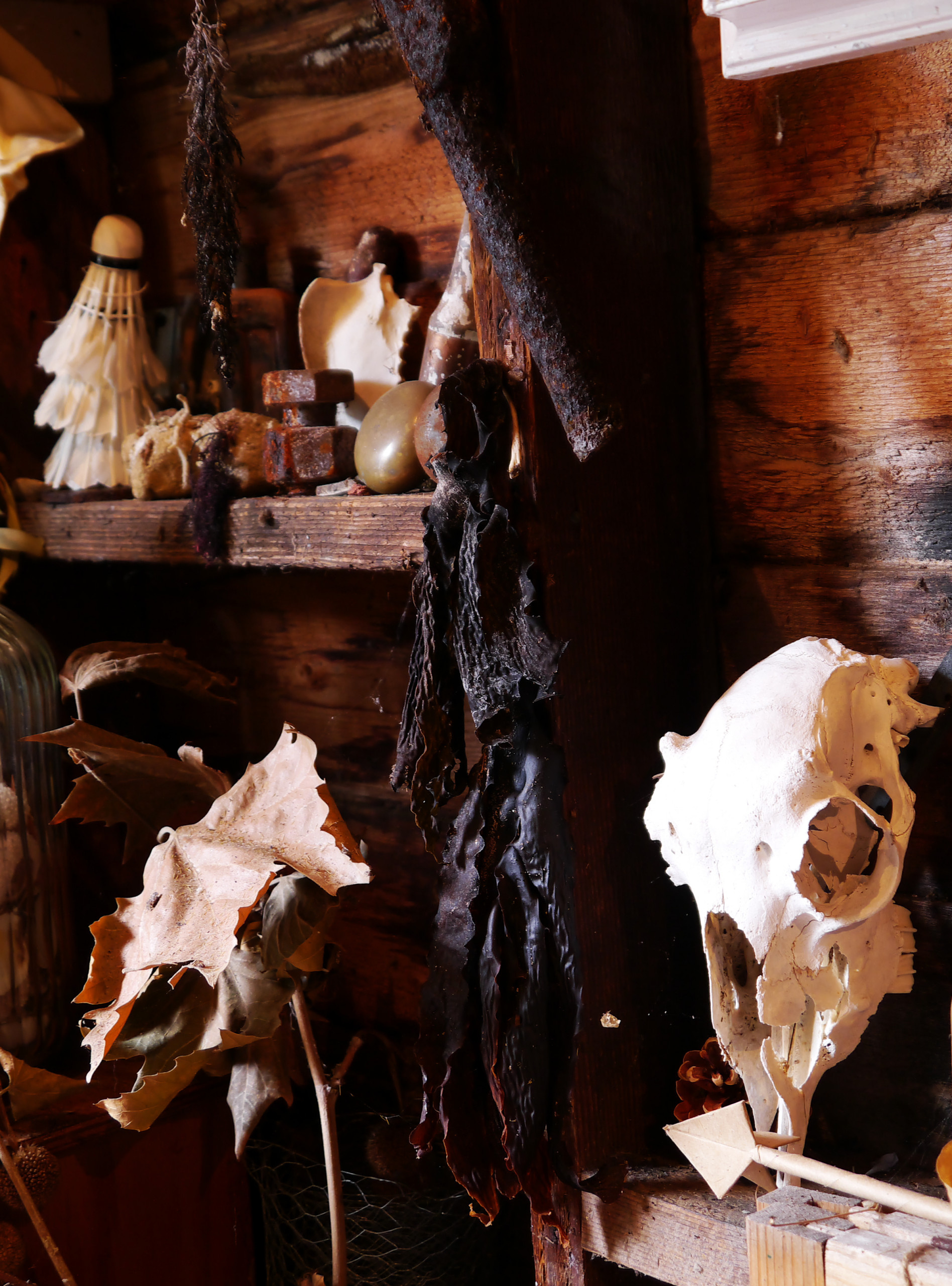 Houzz Австралия: Викторианский коттедж для винтажной коллекции