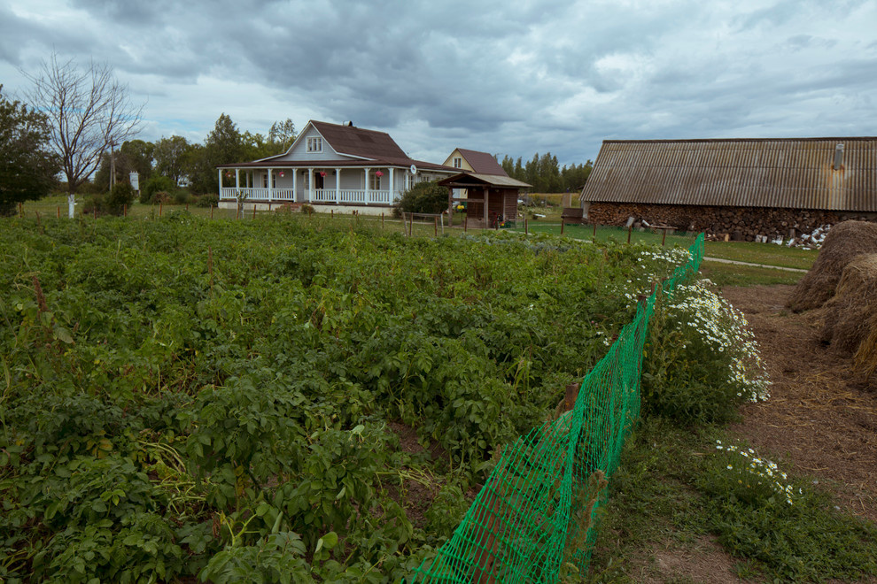 В гостях: Русское ранчо с вековой липой и будущим клубом