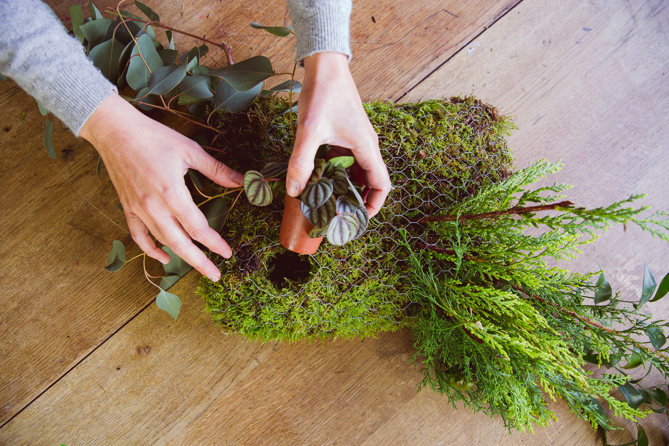 Своими руками: Композиция изо мха и цветов