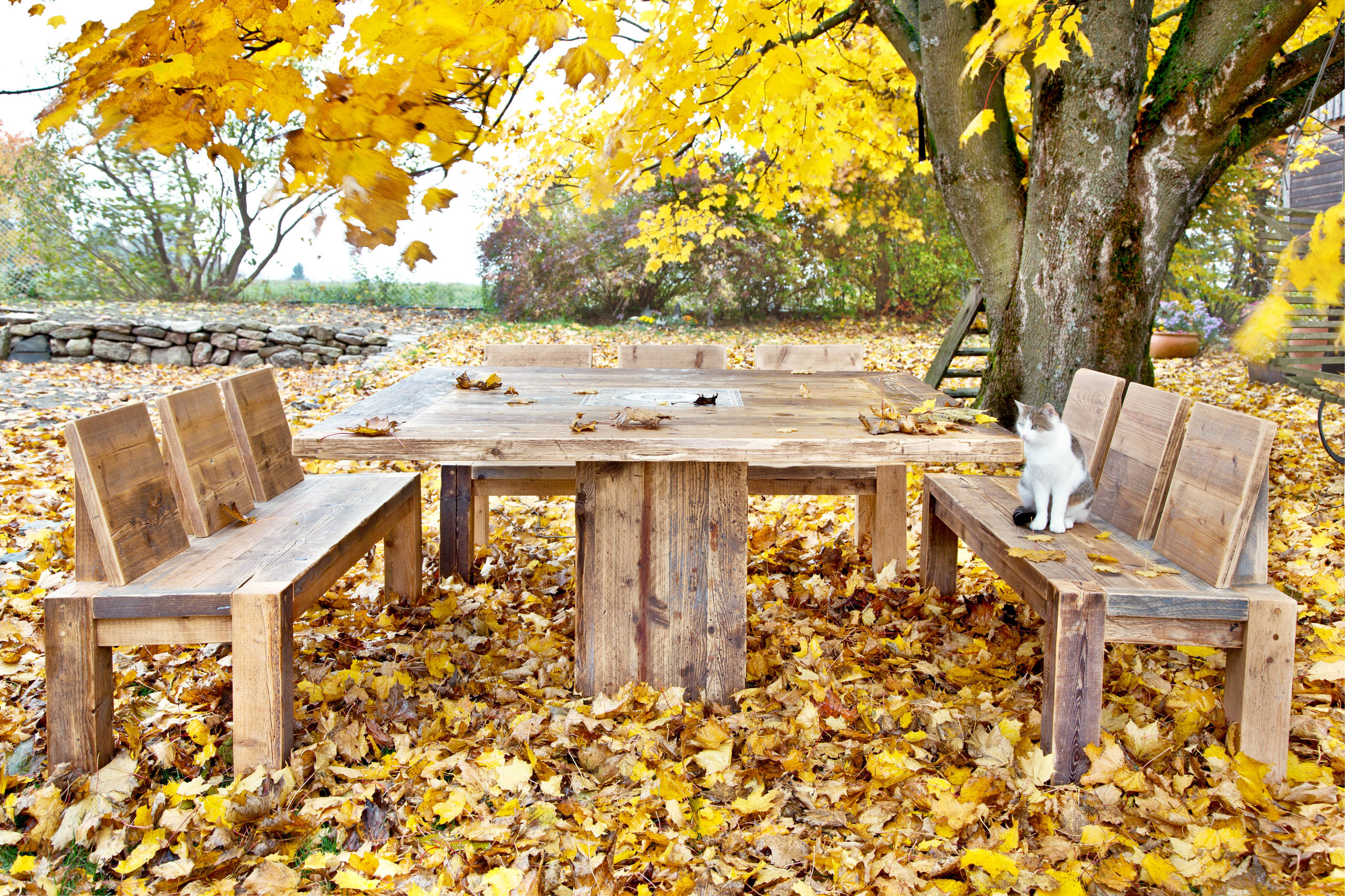Планируем сад: Для кинестетиков, аудиалов и визуалов