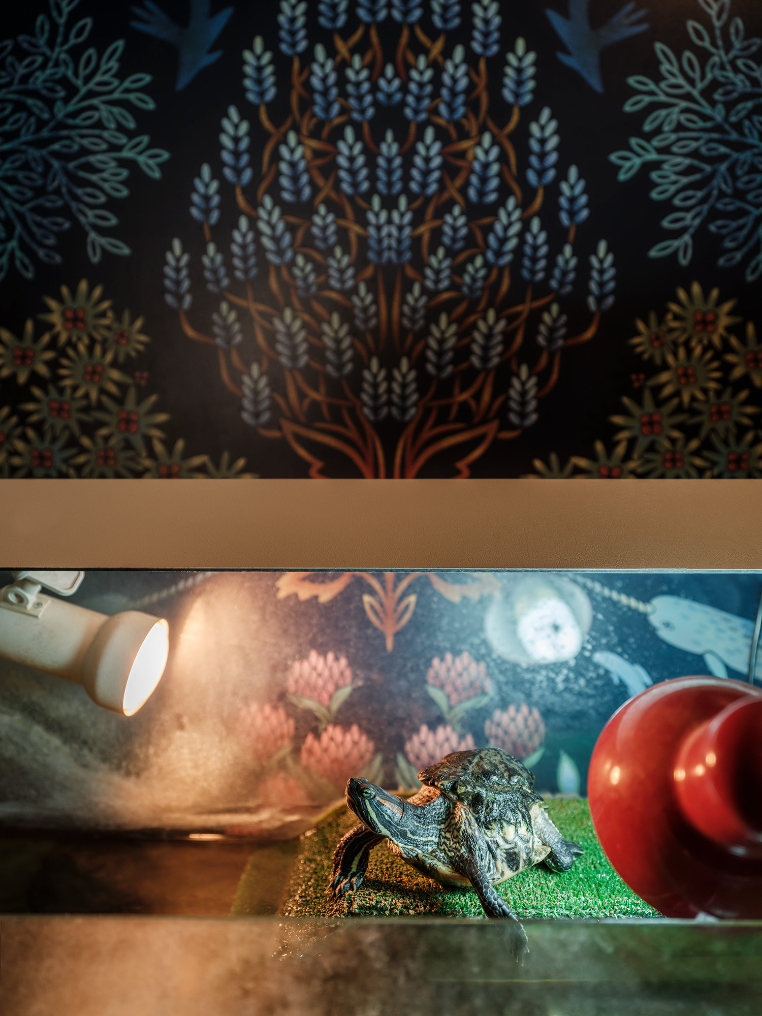 В гостях: маленькая квартира для четверых и усыновленной собаки