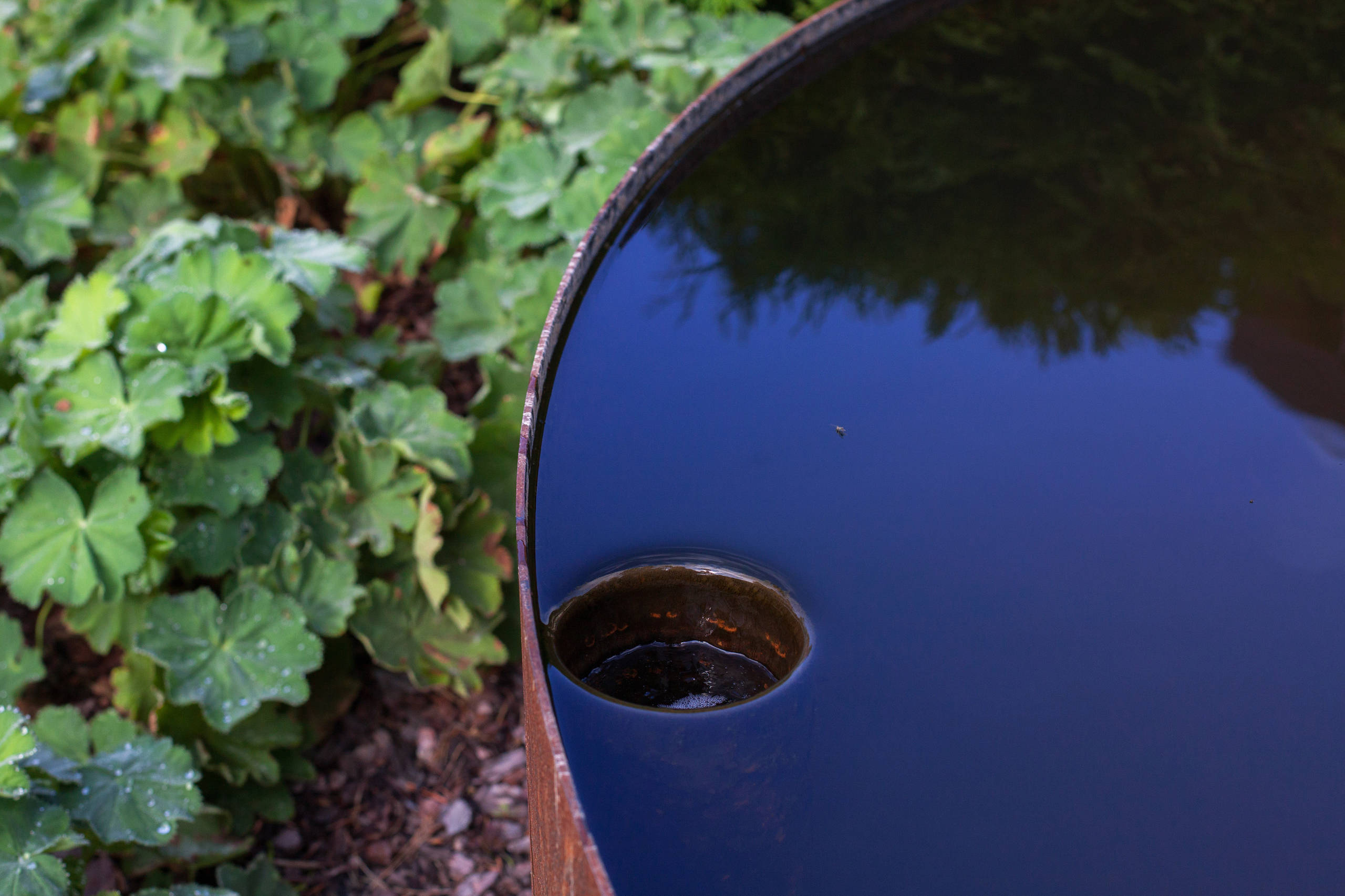 Совет недели (13/52): Чаша для отражений