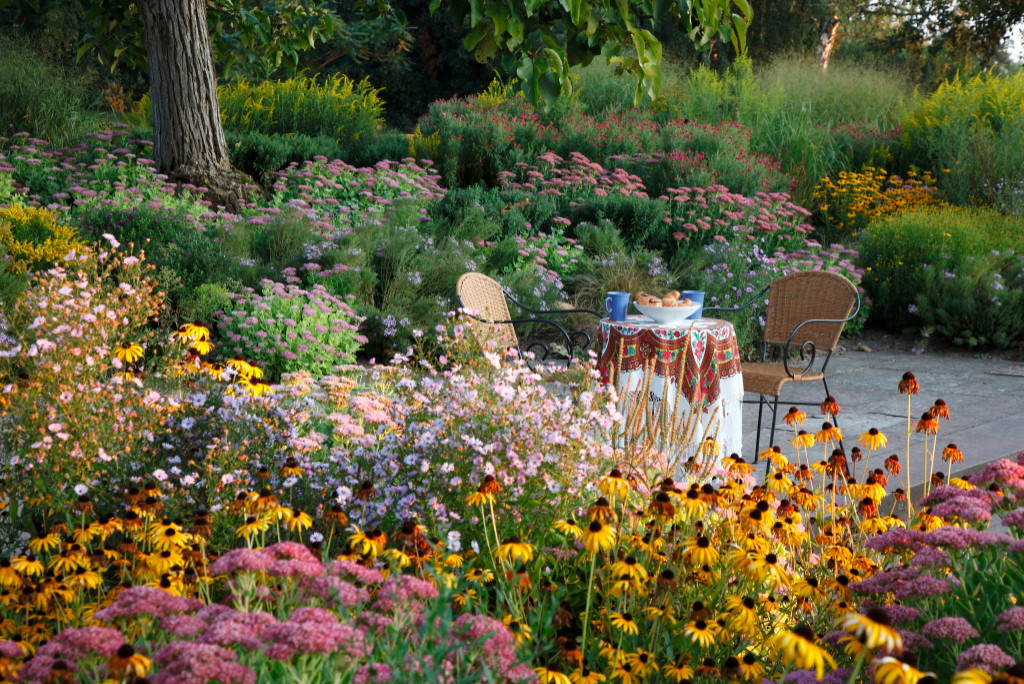 Фотоохота: Место для завтрака на воздухе — 23 примера