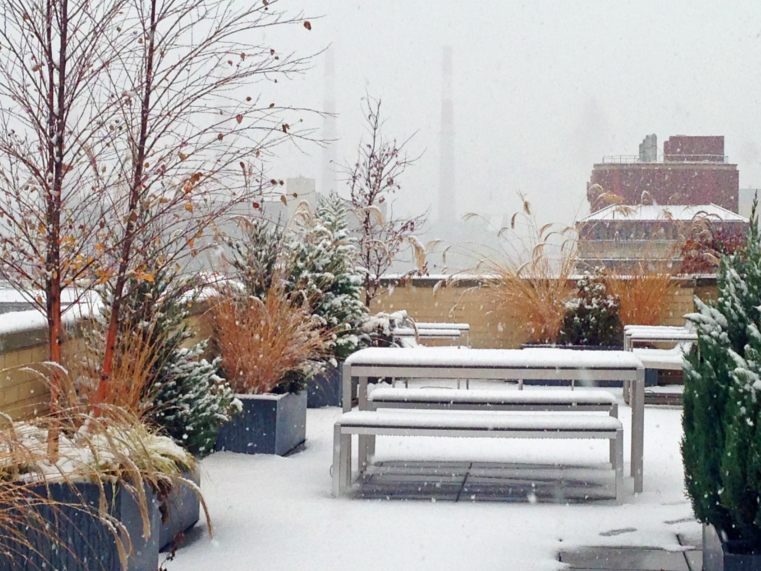 Фотоохота: 37 садов со злаками