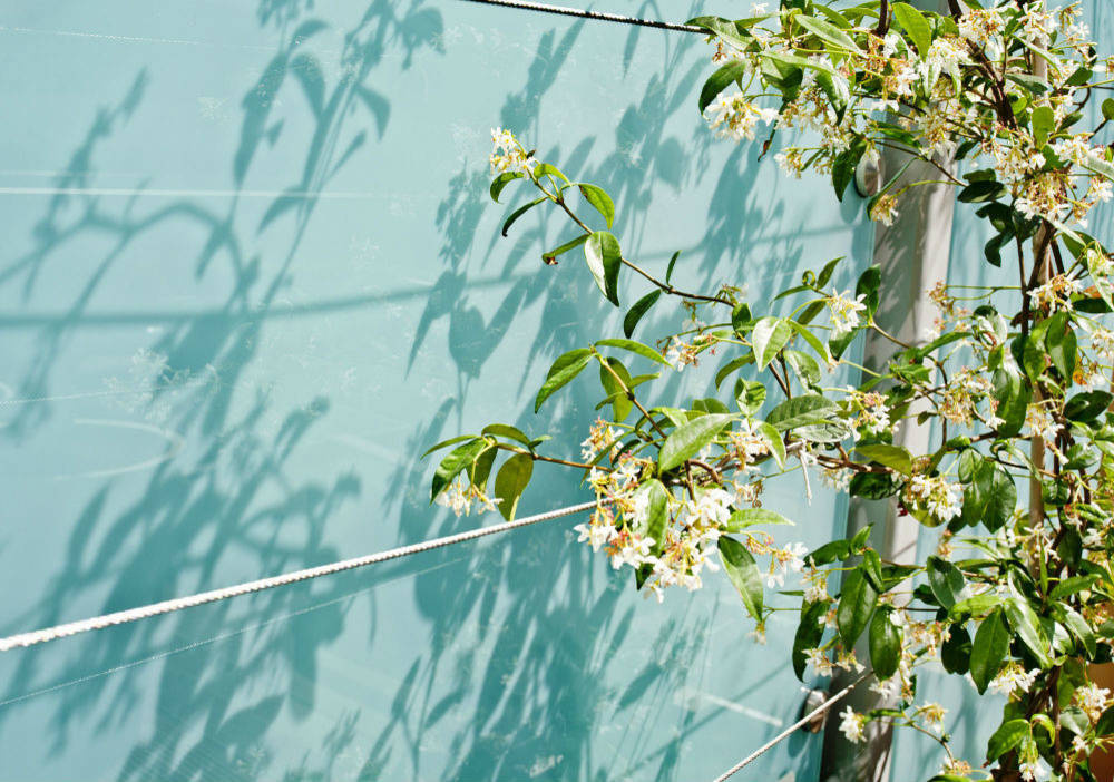 Houzz call: Покажите нам весну, которую вы видите из окна