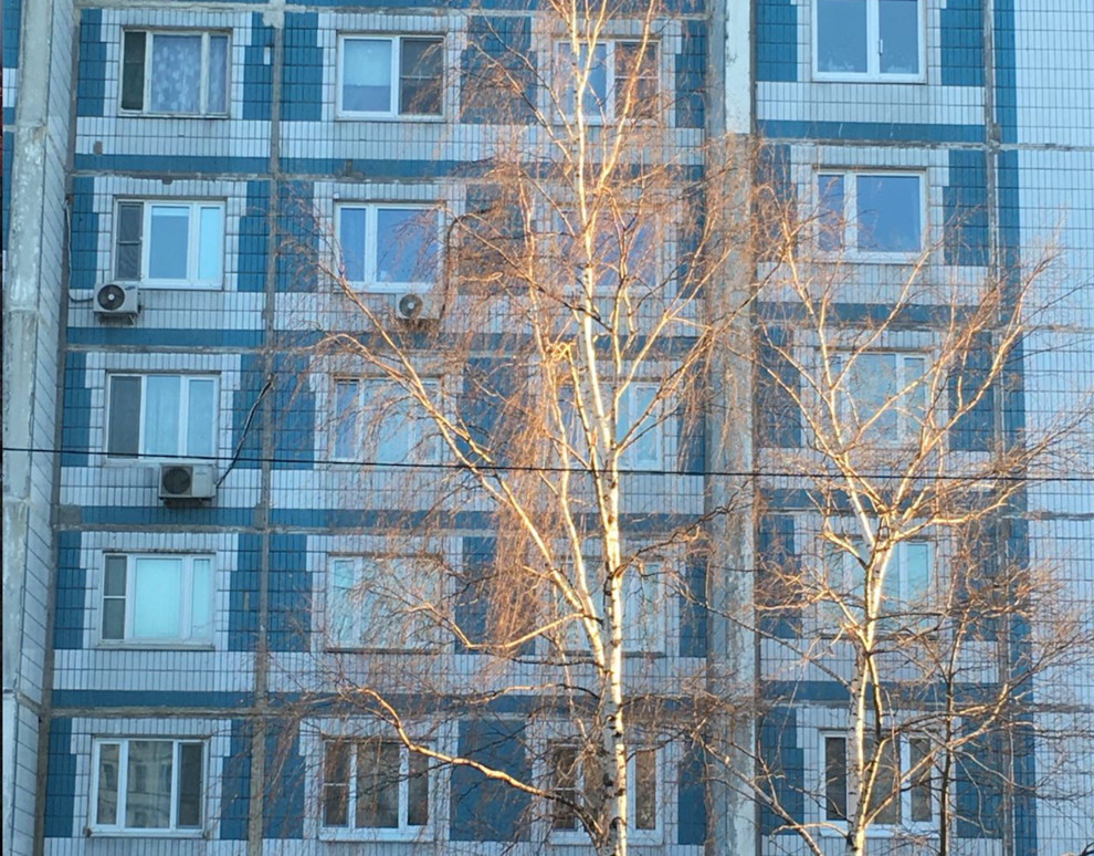 Houzz call: Покажите нам весну, которую вы видите из окна