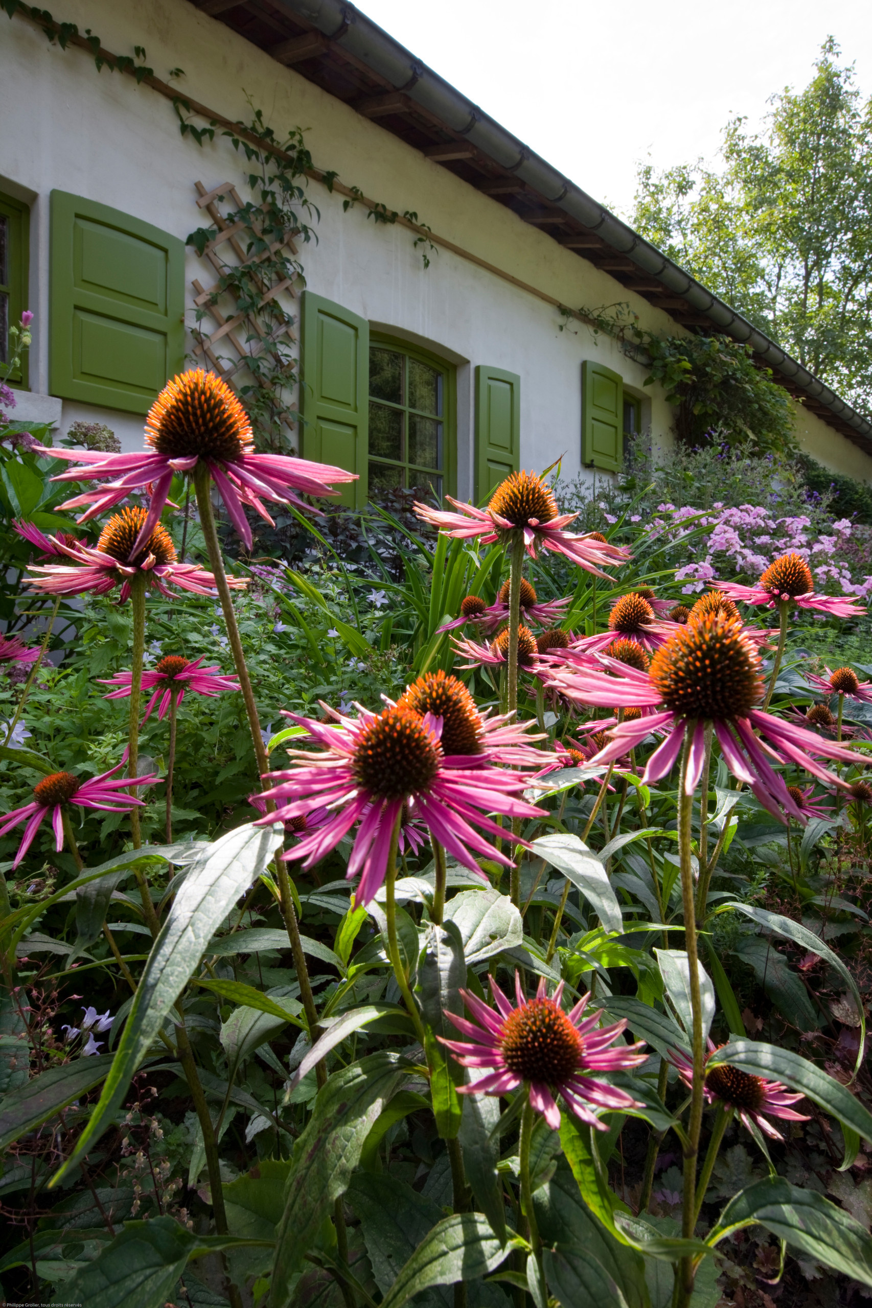Сад недели: Романтическое убежище в Бельгии