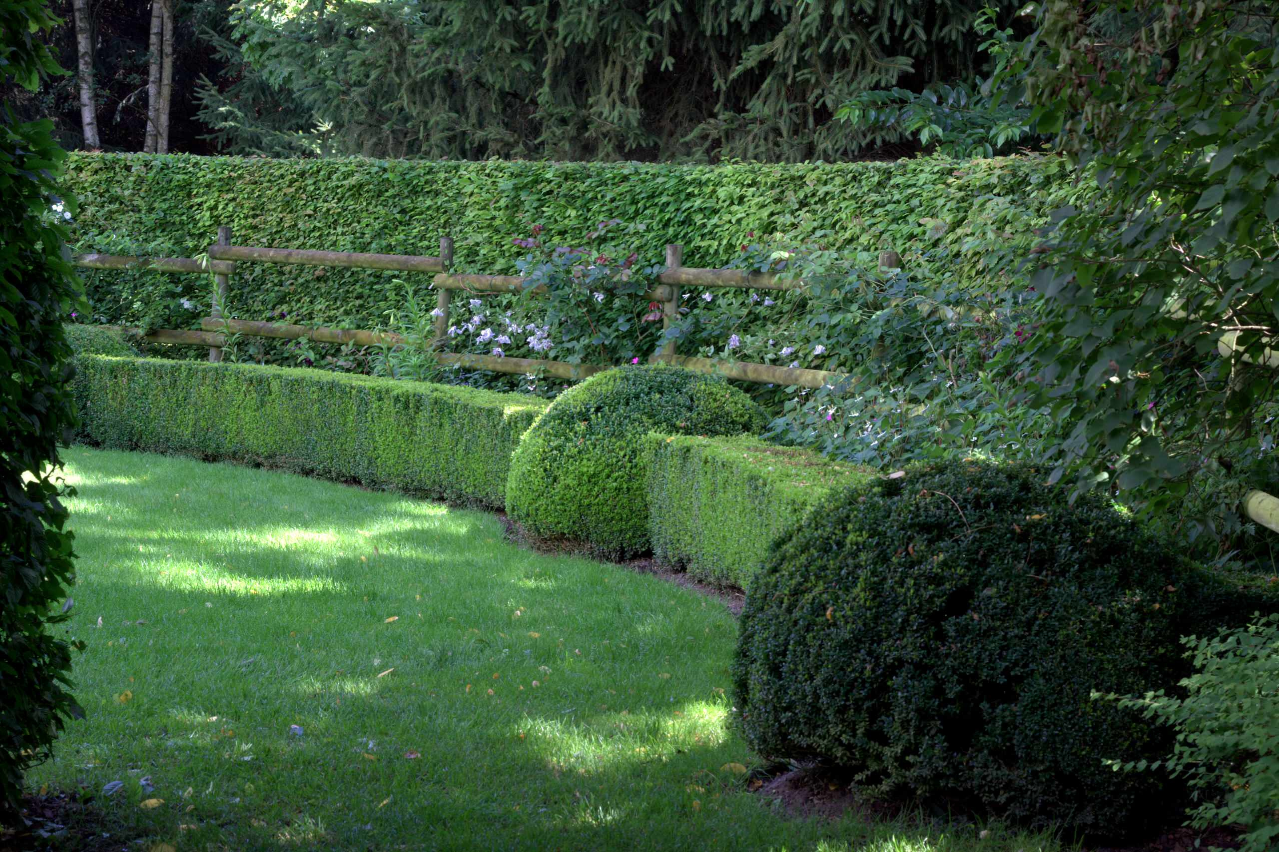 Сад недели: Романтическое убежище в Бельгии