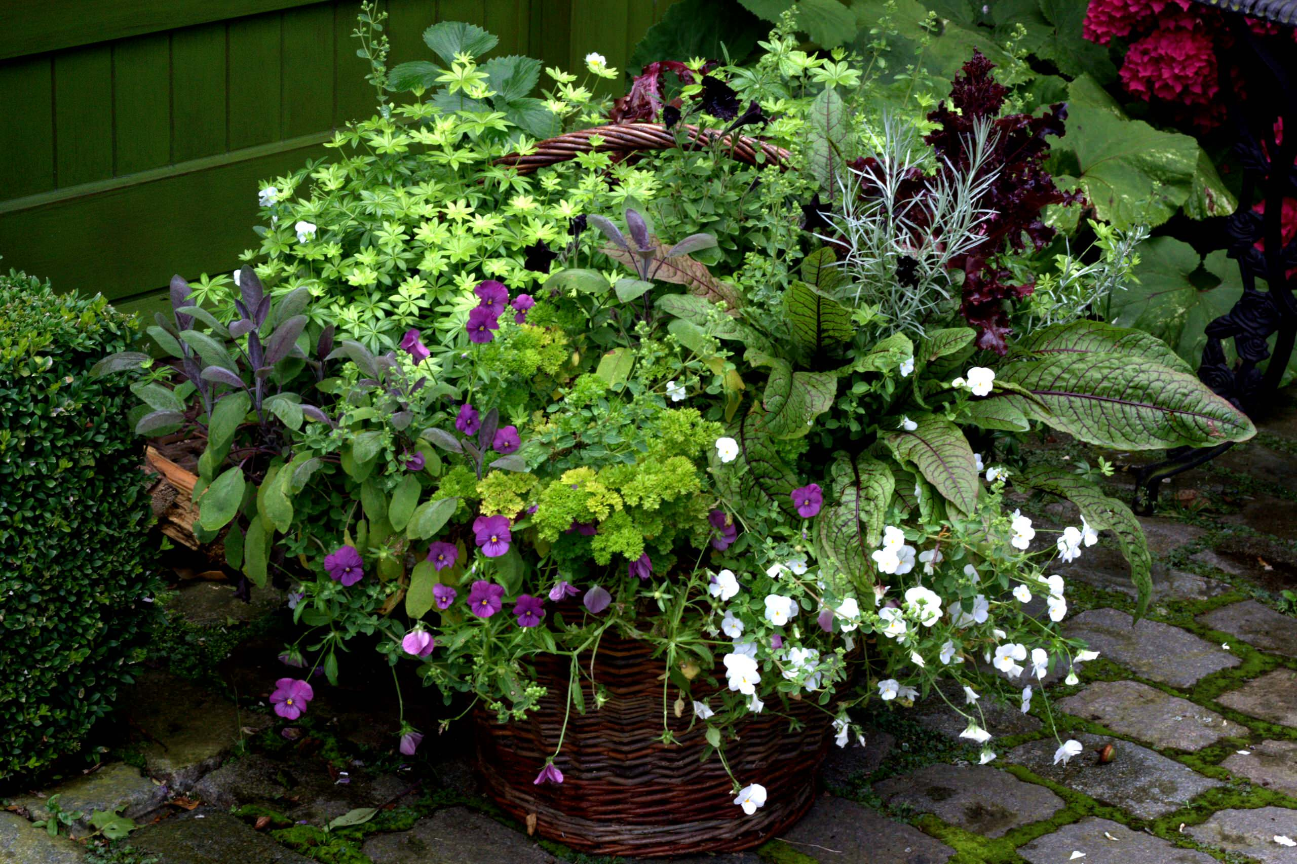 Сад недели: Романтическое убежище в Бельгии