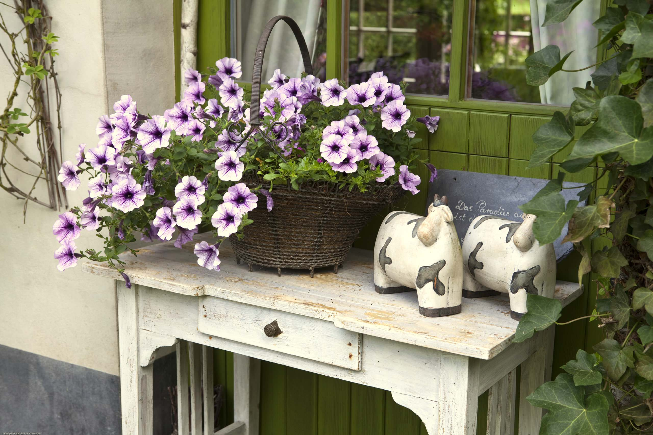 Сад недели: Романтическое убежище в Бельгии