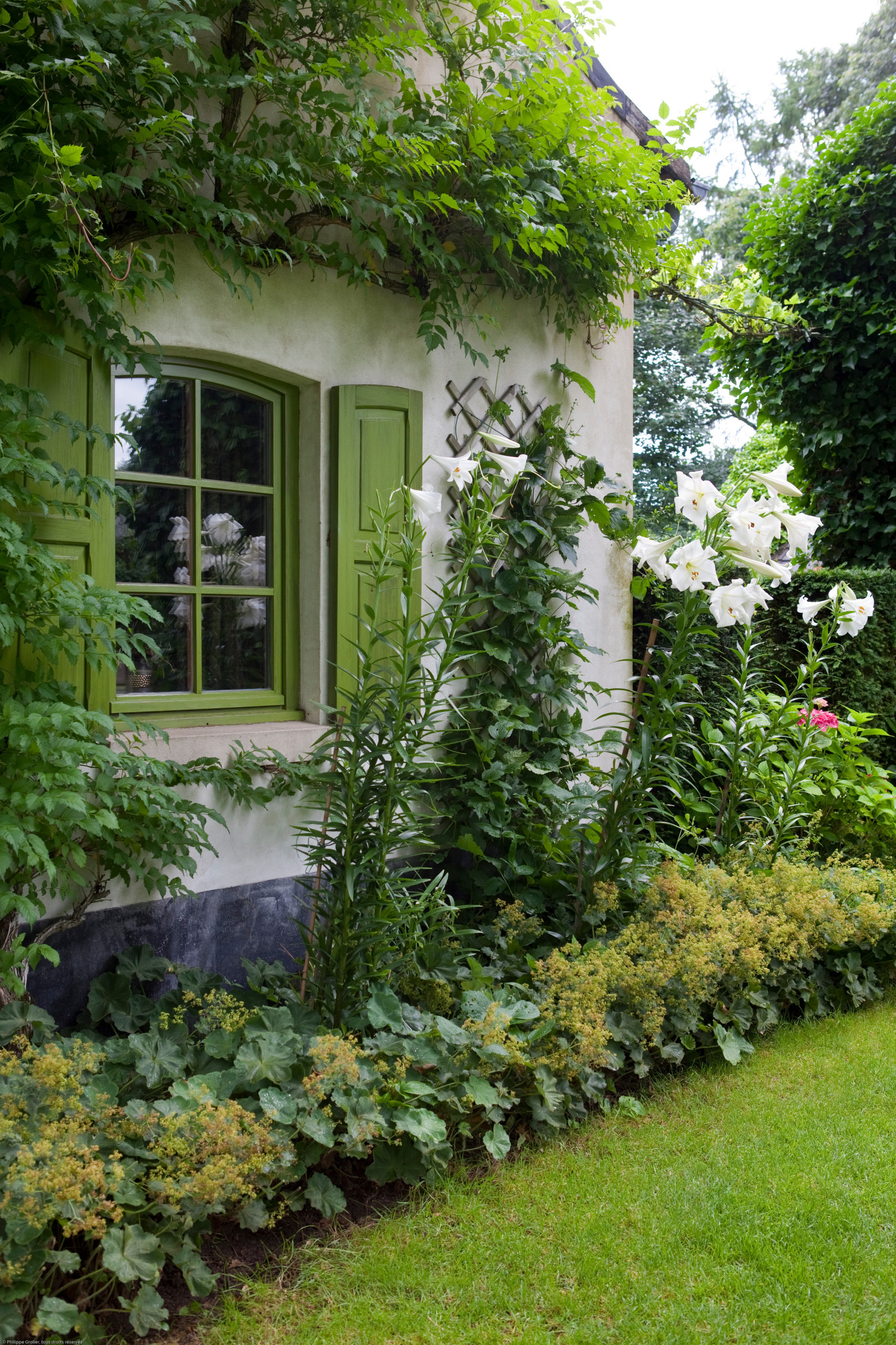 Сад недели: Романтическое убежище в Бельгии