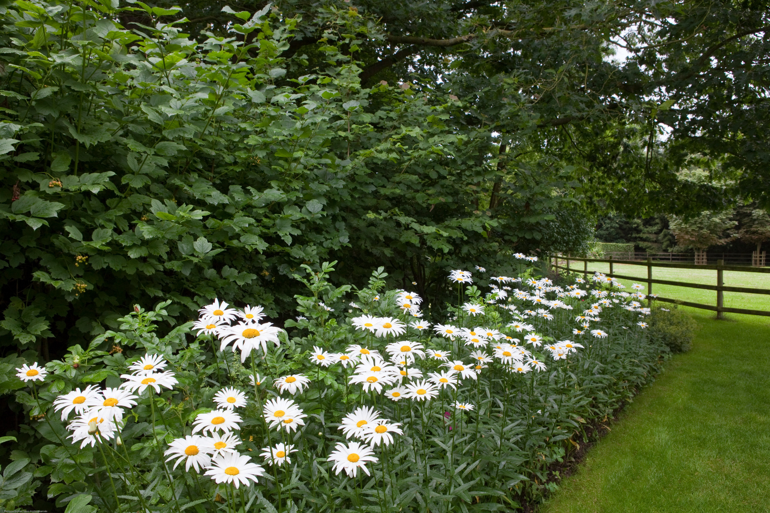 Сад недели: Романтическое убежище в Бельгии