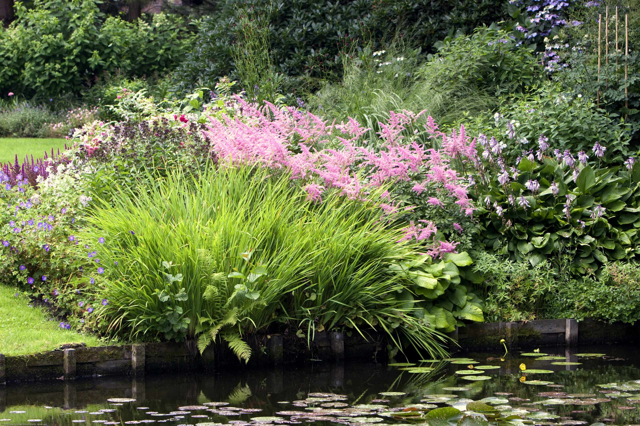 Сад недели: Романтическое убежище в Бельгии