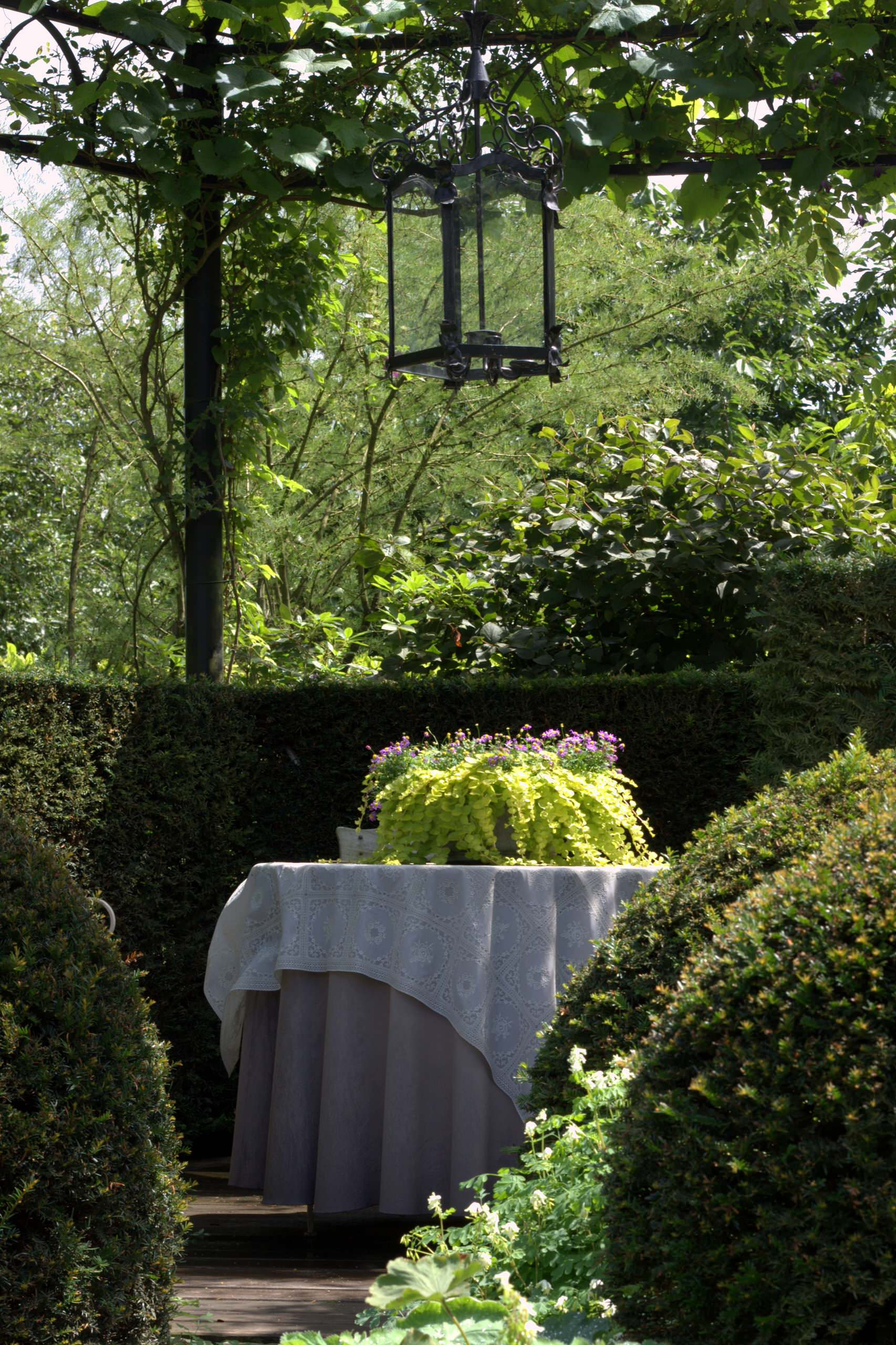 Сад недели: Романтическое убежище в Бельгии