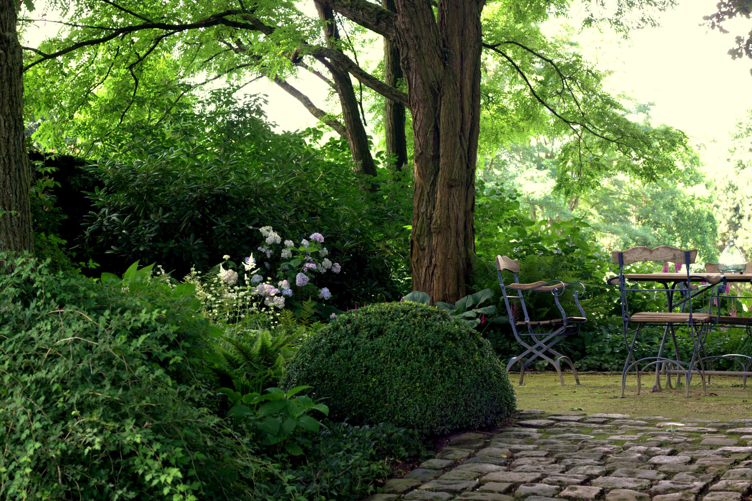 Сад недели: Романтическое убежище в Бельгии