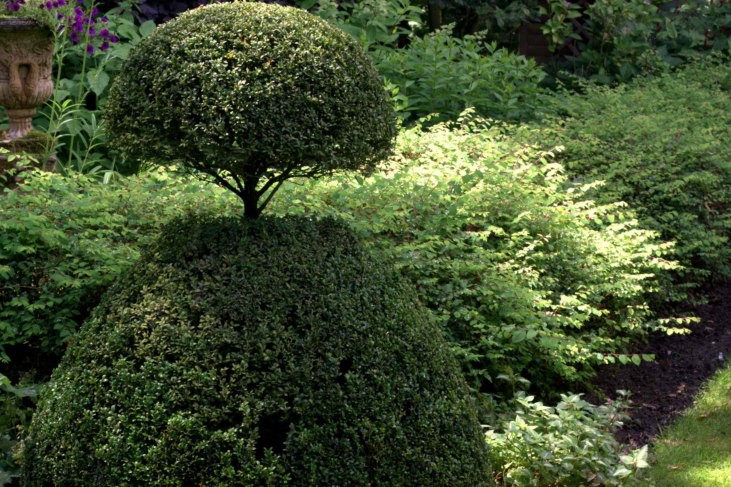 Сад недели: Романтическое убежище в Бельгии