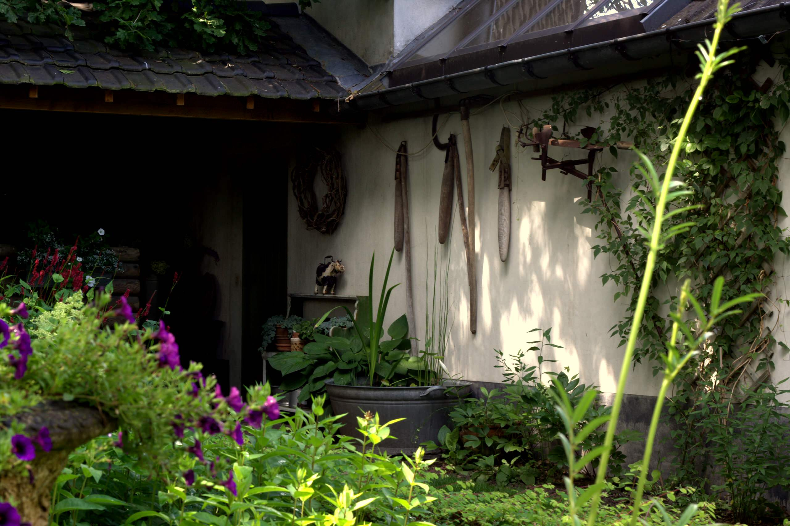 Сад недели: Романтическое убежище в Бельгии