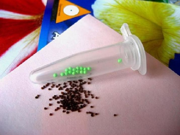 Готовимся к весне: Как выбрать семена для урожая будущего года