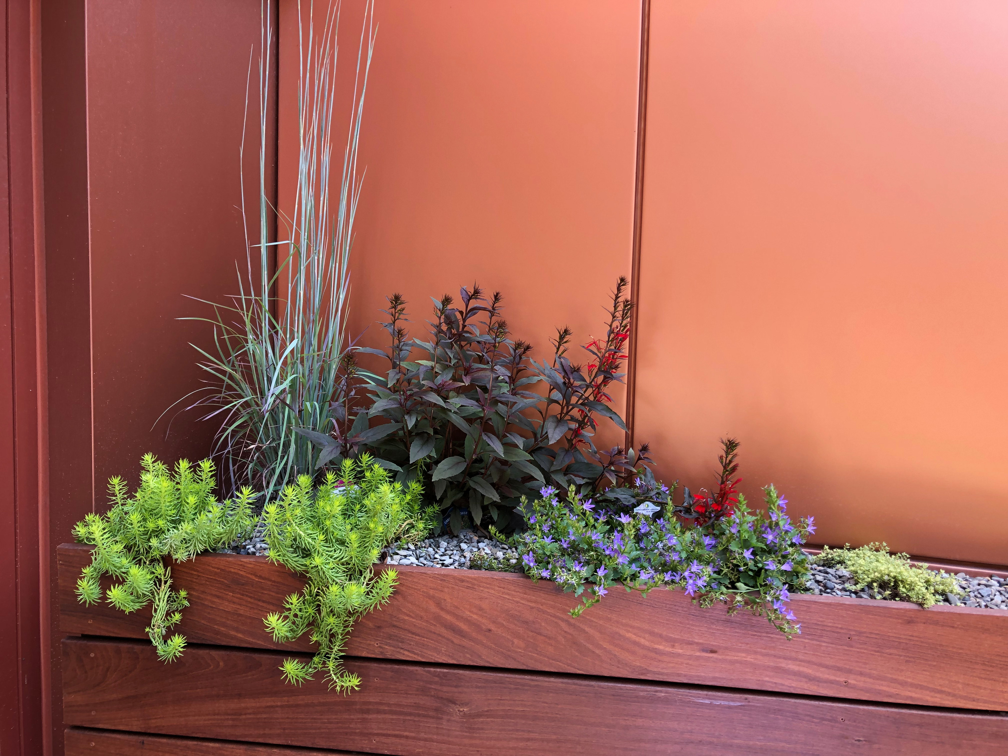 Houzz США: Переделка заднего двора при таунхаусе