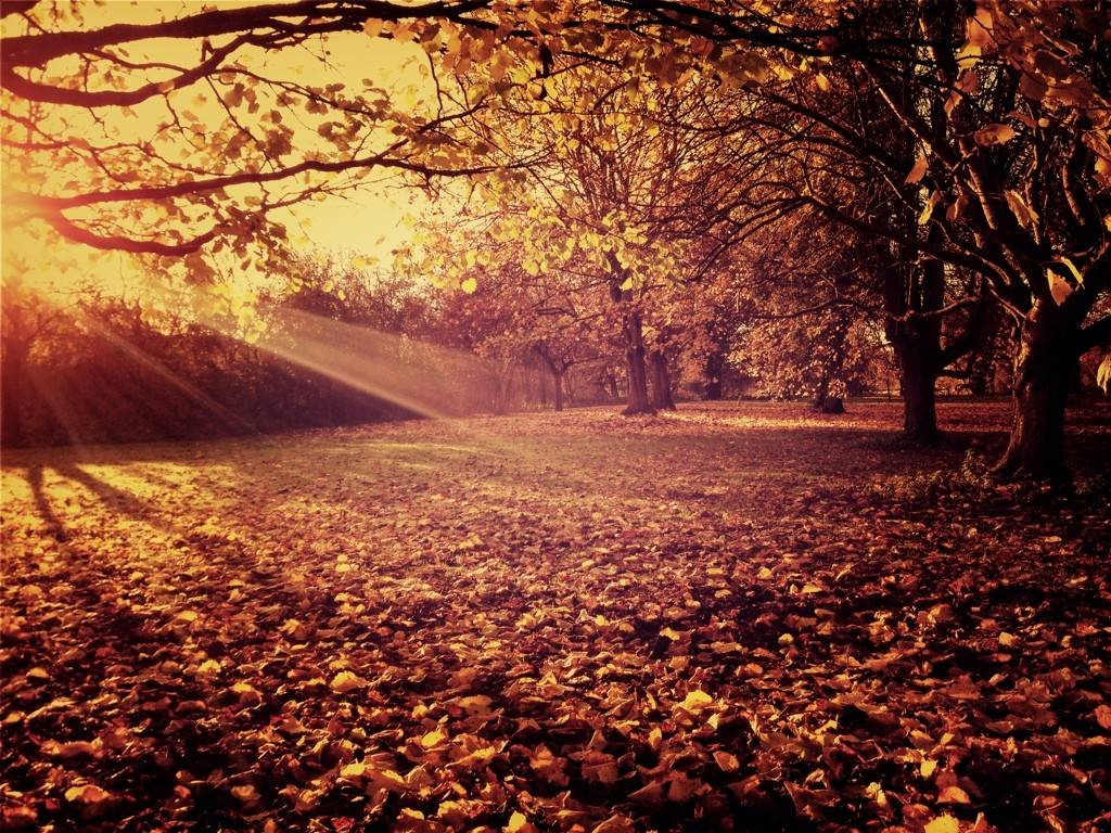 Как взглянуть на мир цвета другими глазами?