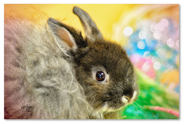 Нестандартные животные в стандартной квартире