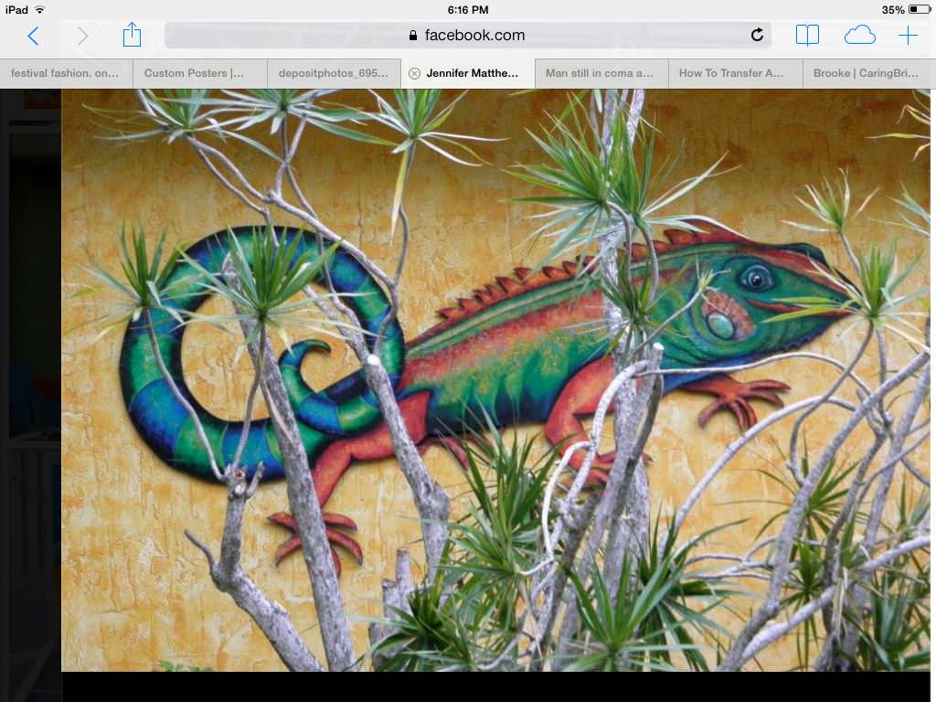 Нестандартные животные в стандартной квартире