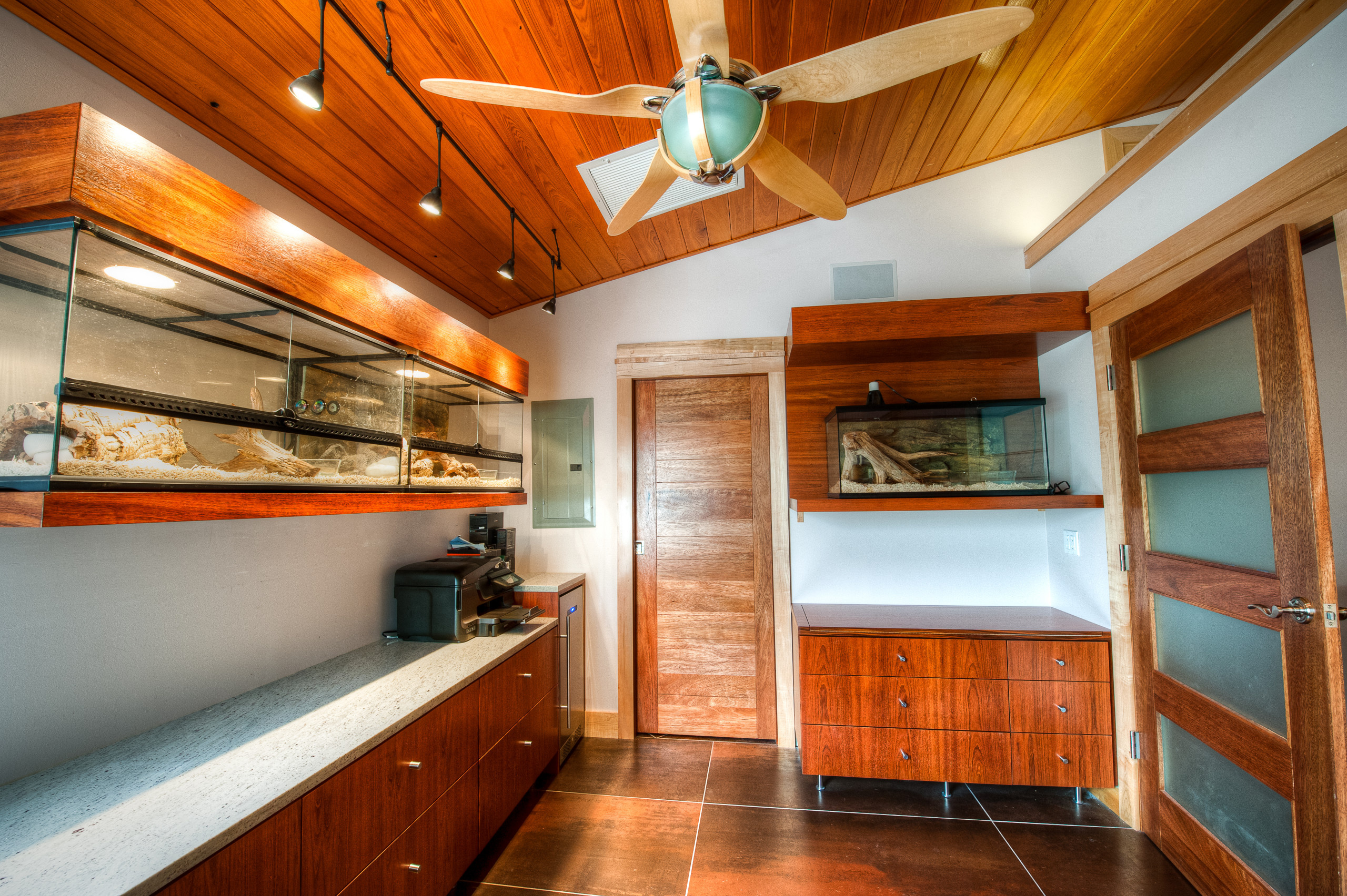 Нестандартные животные в стандартной квартире