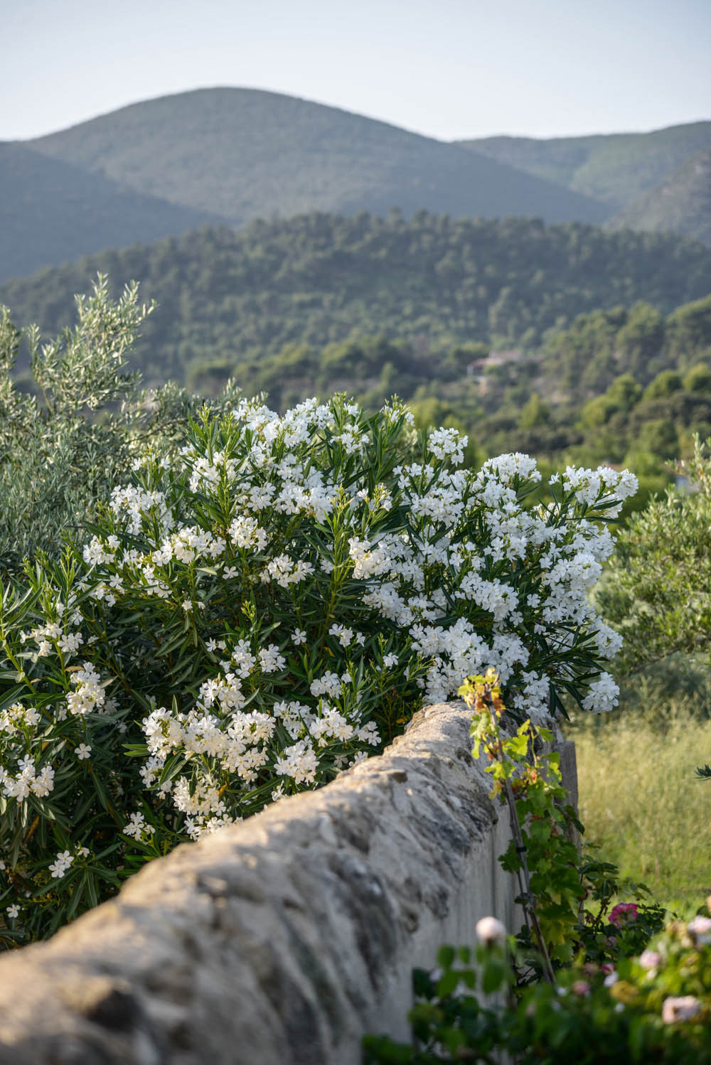 Houzz Франция: Скромная хижина, превратившаяся в добротный дом