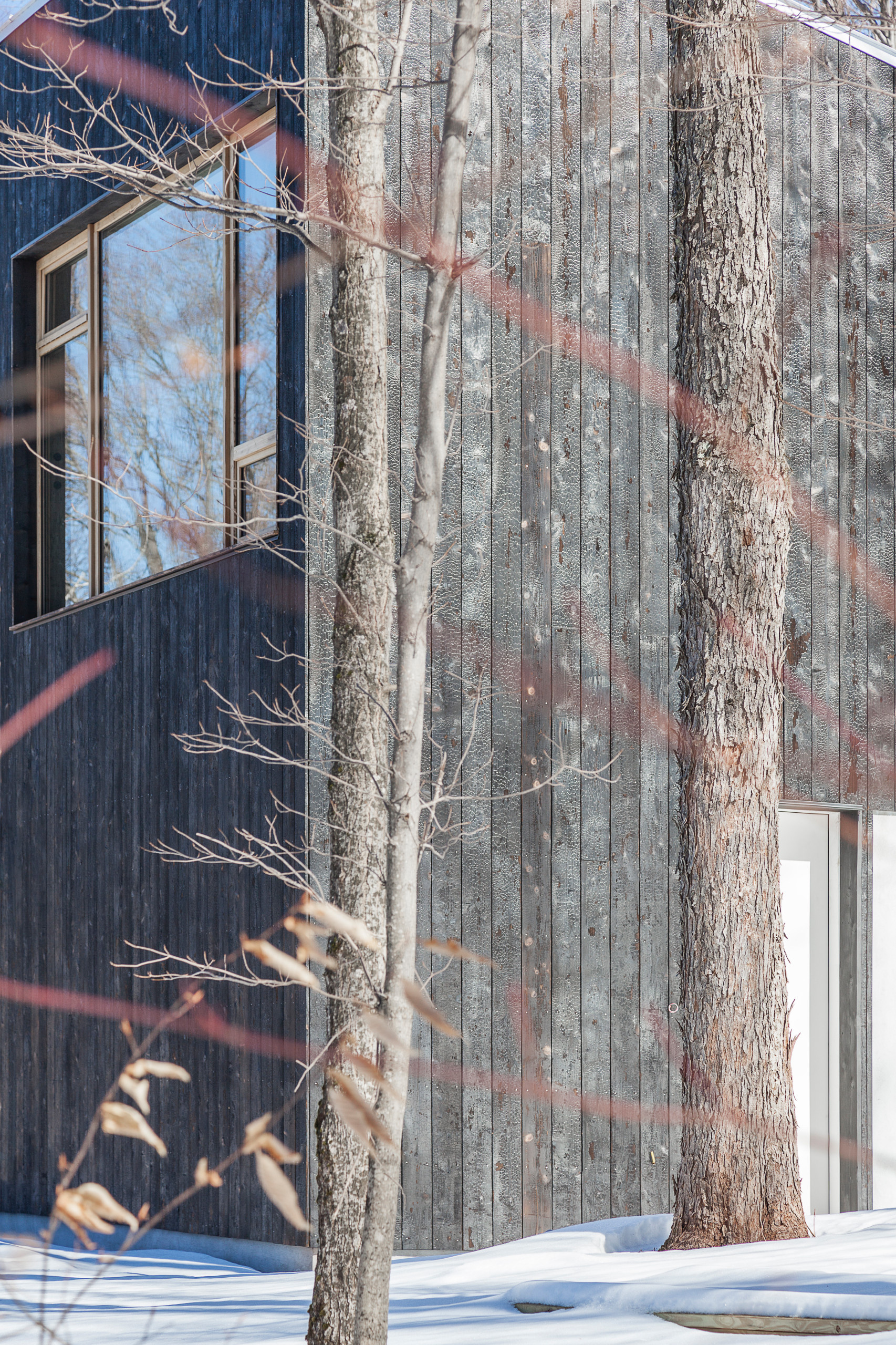 Houzz США:  Дом в лесах, к северу от Нью-Йорка