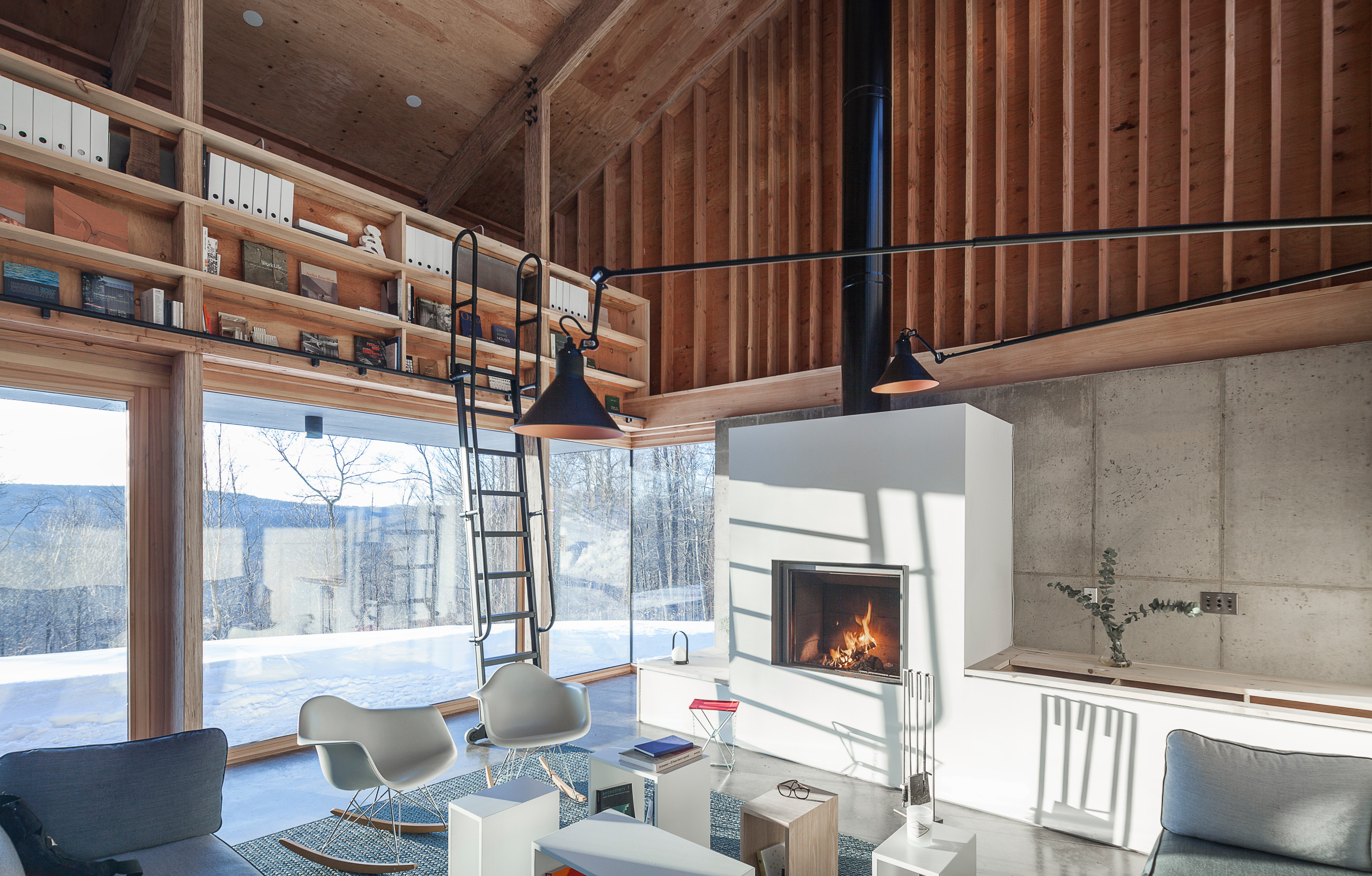 Houzz США:  Дом в лесах, к северу от Нью-Йорка