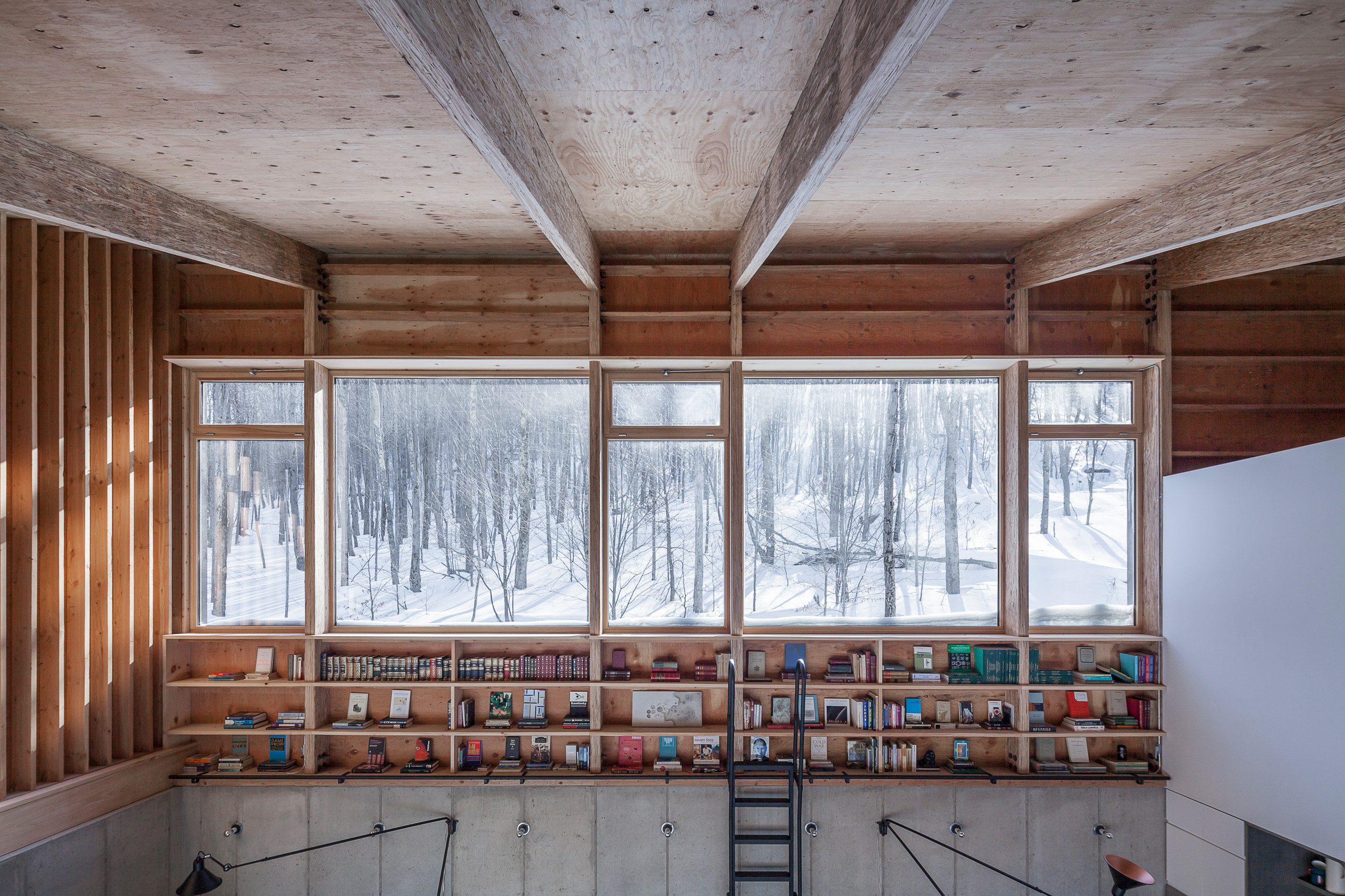 Houzz США:  Дом в лесах, к северу от Нью-Йорка