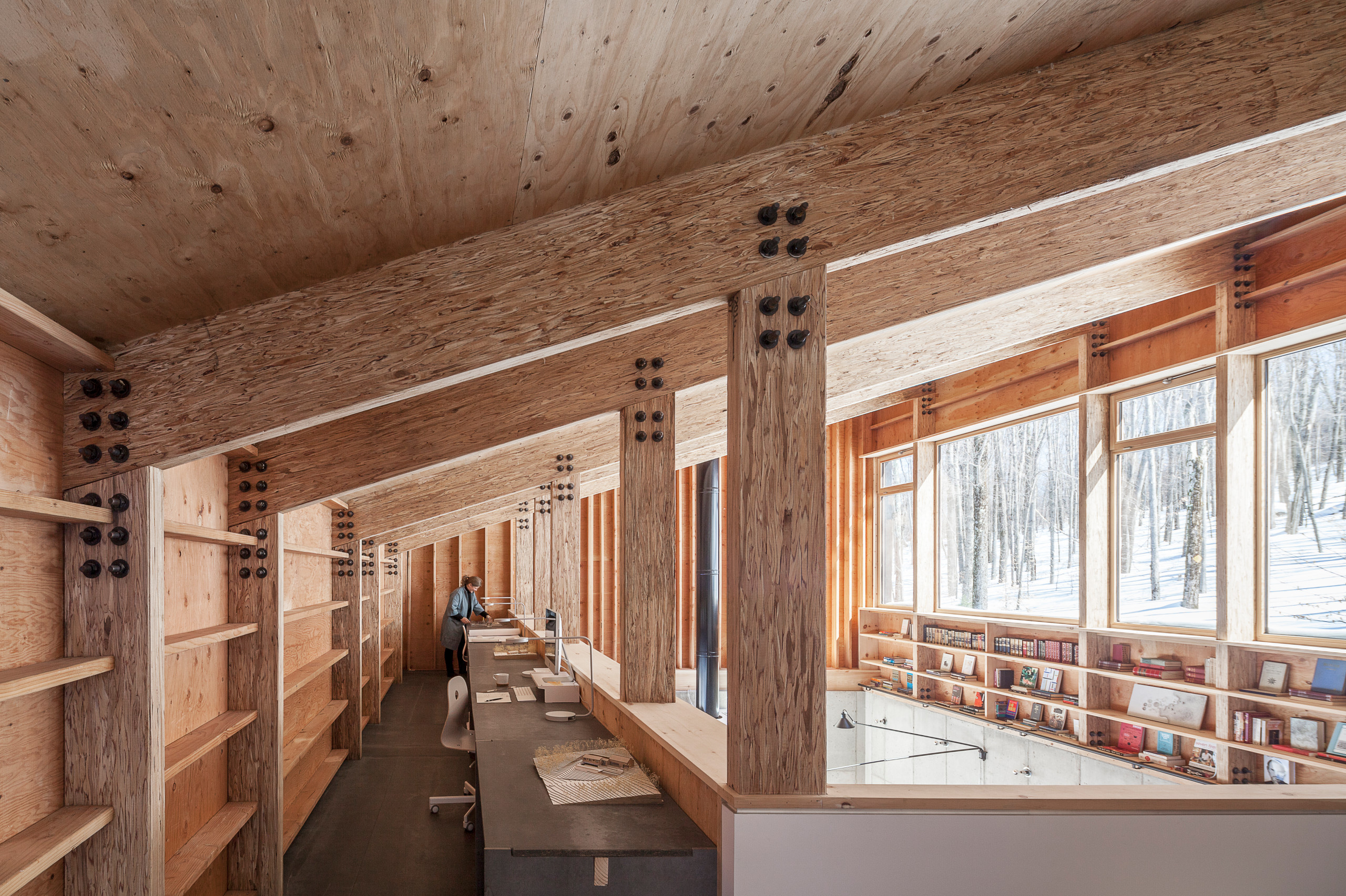 Houzz США:  Дом в лесах, к северу от Нью-Йорка