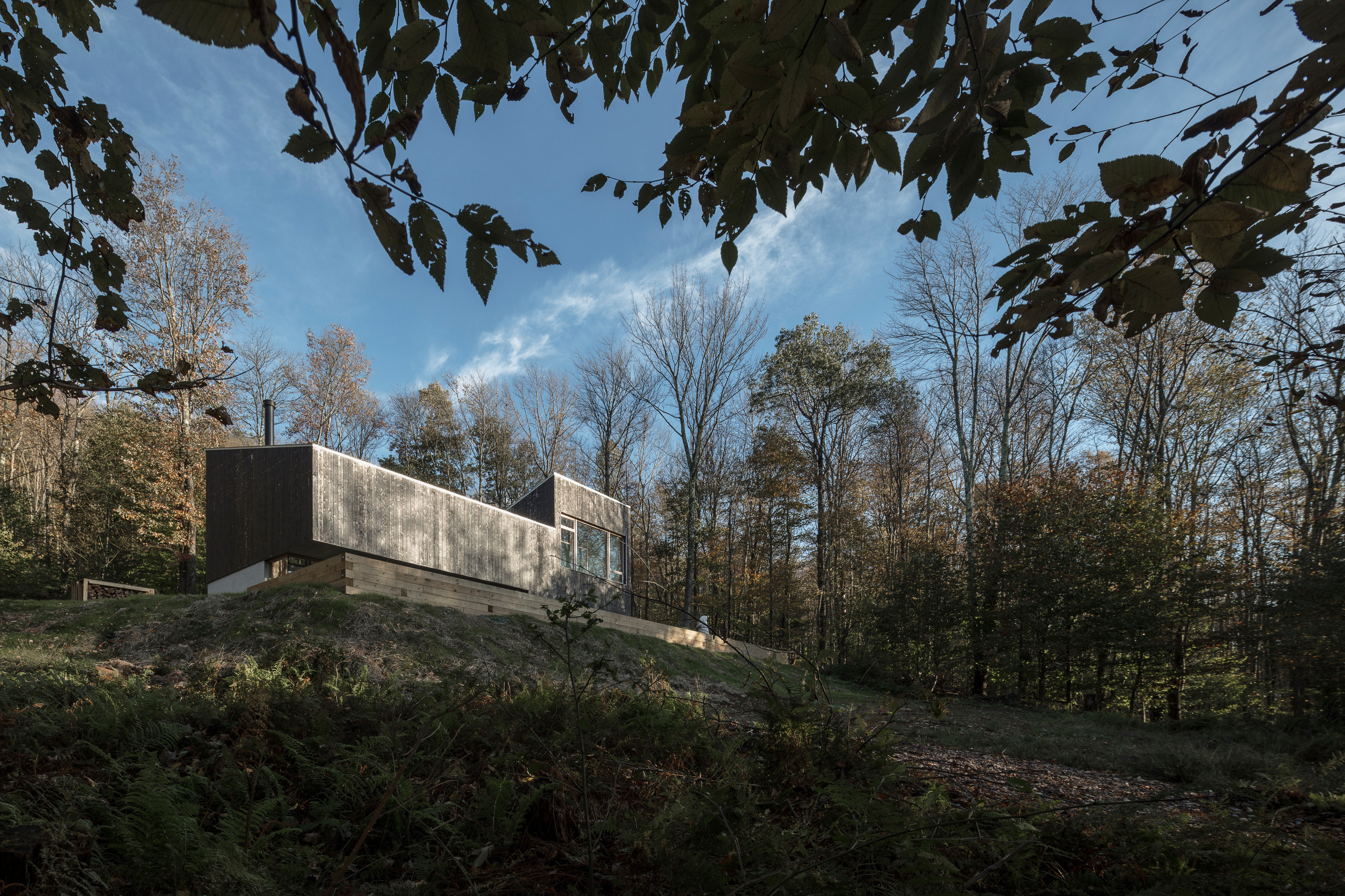 Houzz США:  Дом в лесах, к северу от Нью-Йорка